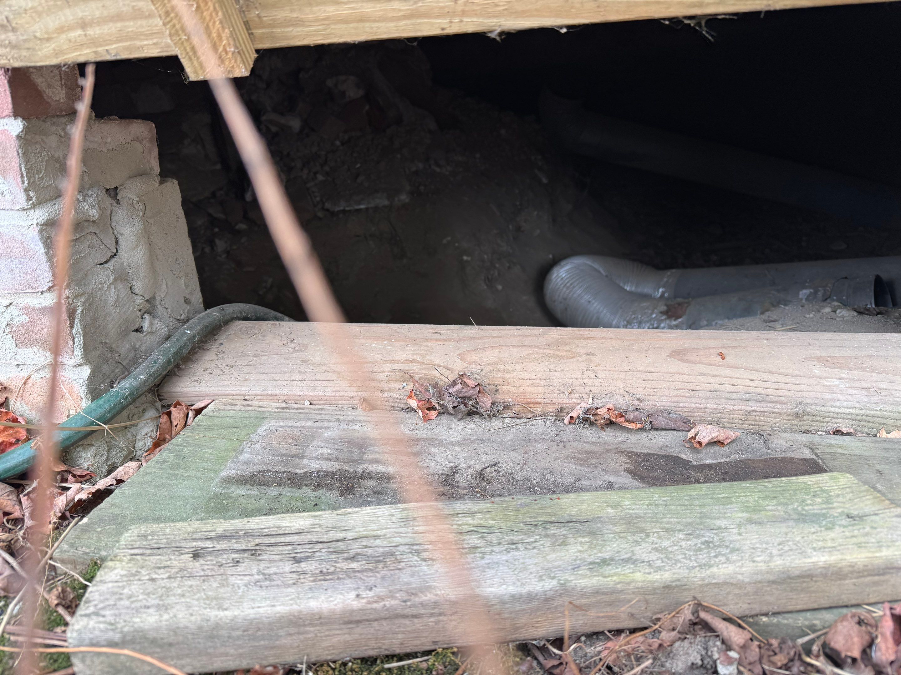 Mold Remediation (Basement) using Home Guarantee by Home Guarantee, LLC