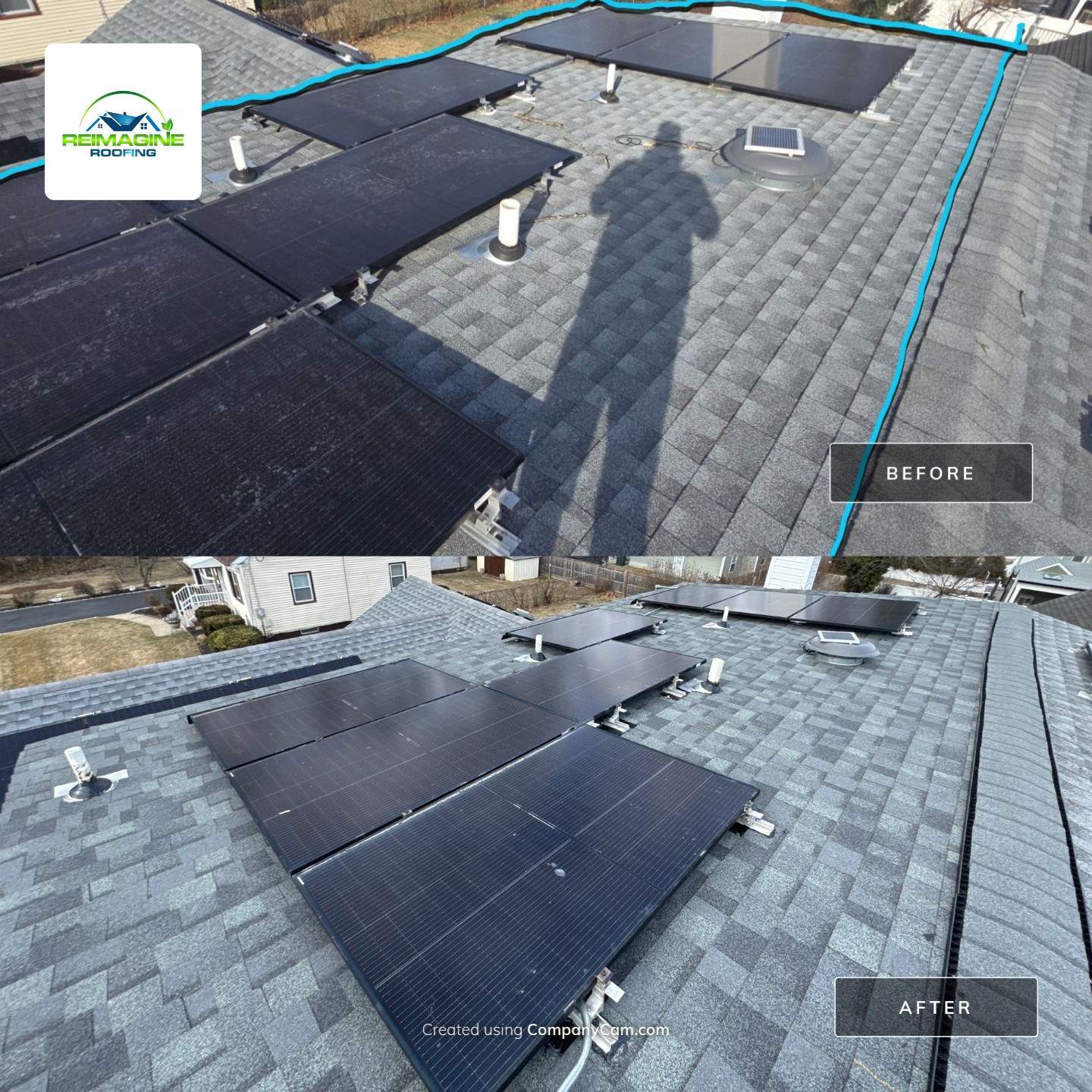 Silver Birch Shingles by Reimagine Roofing