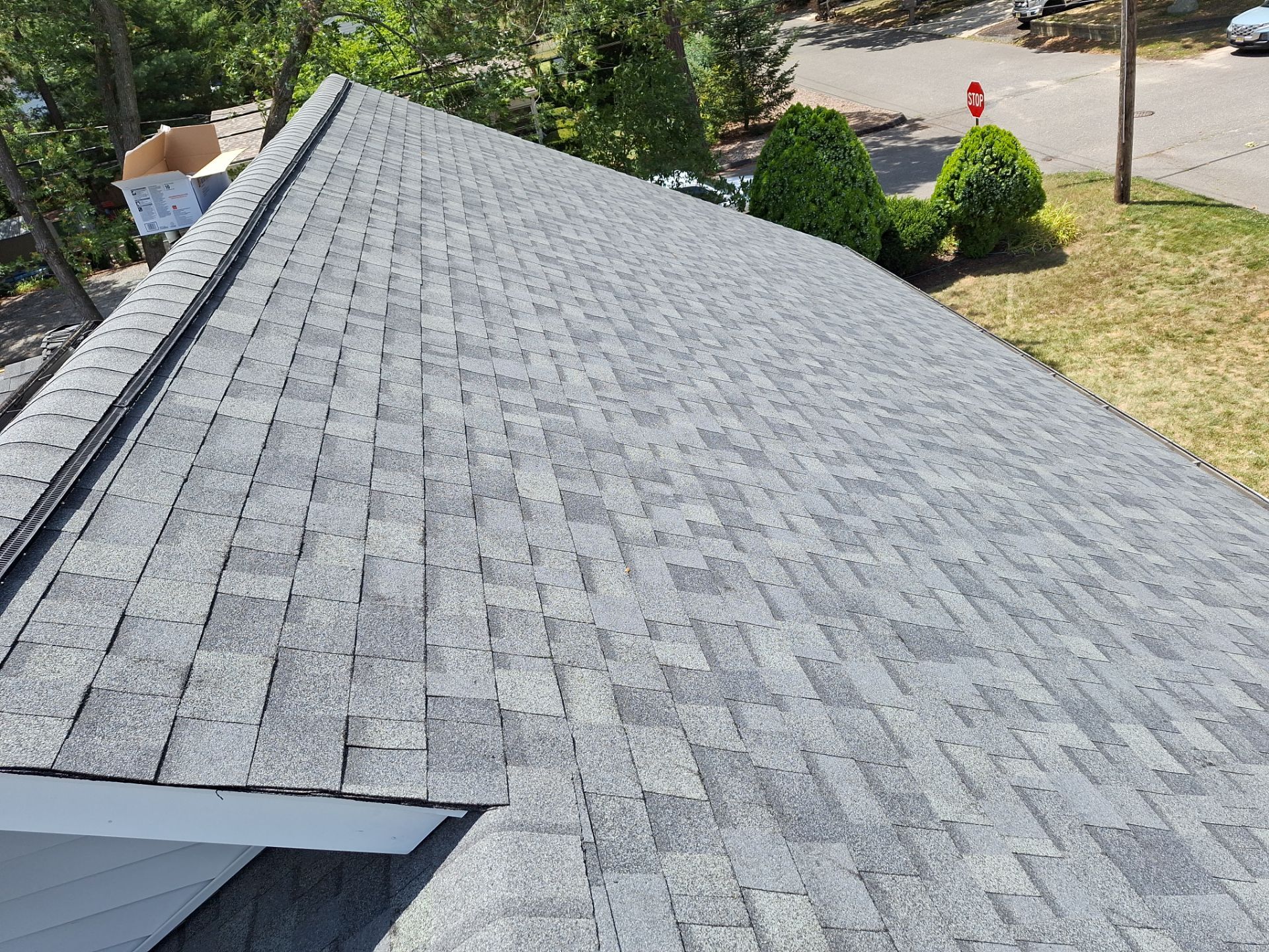 Silver Birch Shingles by Reimagine Roofing