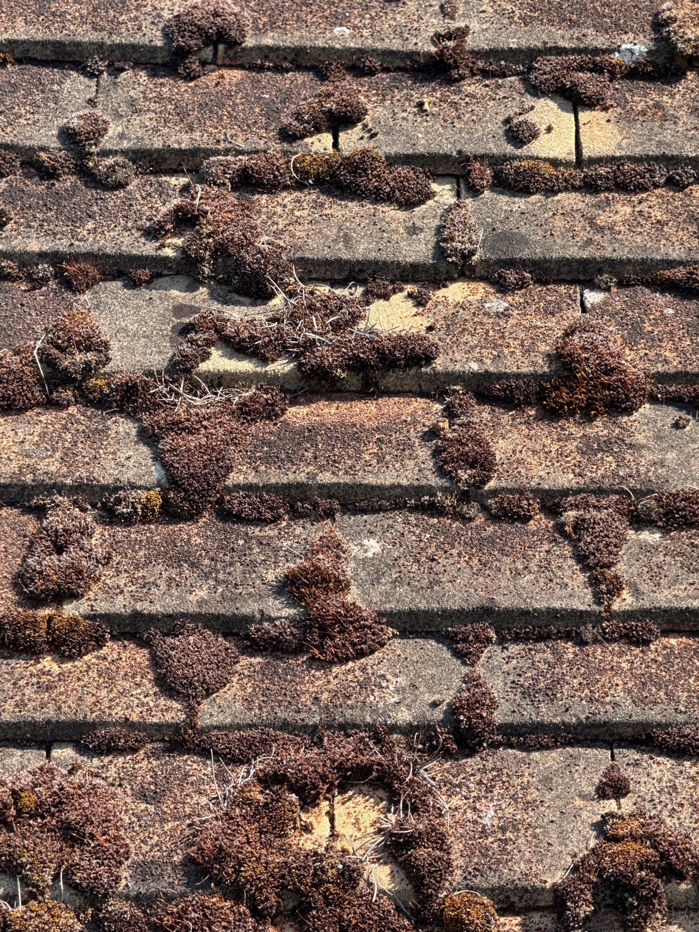 Roof Clean  - Moss Removal - Gutter Clean using Honda 15lpm Low Pressure Washing Machine by Ges Exterior Cleaning ltd