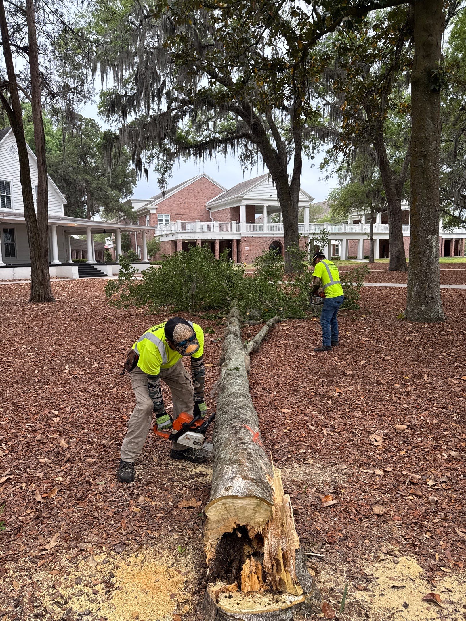 Episcopal School of Jacksonville | Tree Service by ProGreen Services