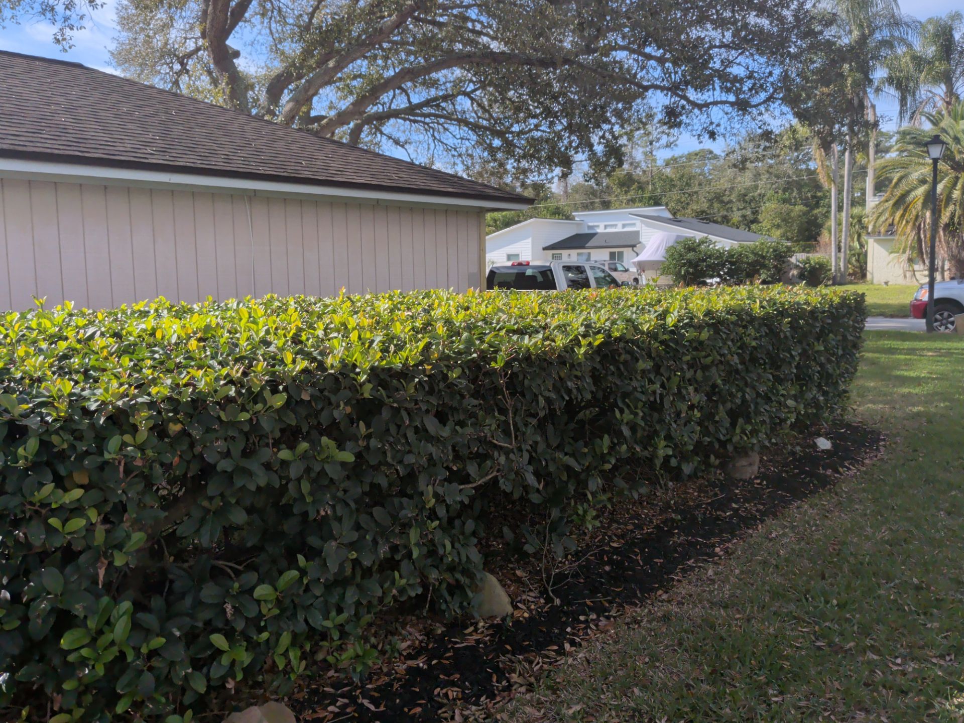 Flower Bed & Property Cleanup San Pablo area — Jacksonville Beaches, FL by Harmoni Home Services