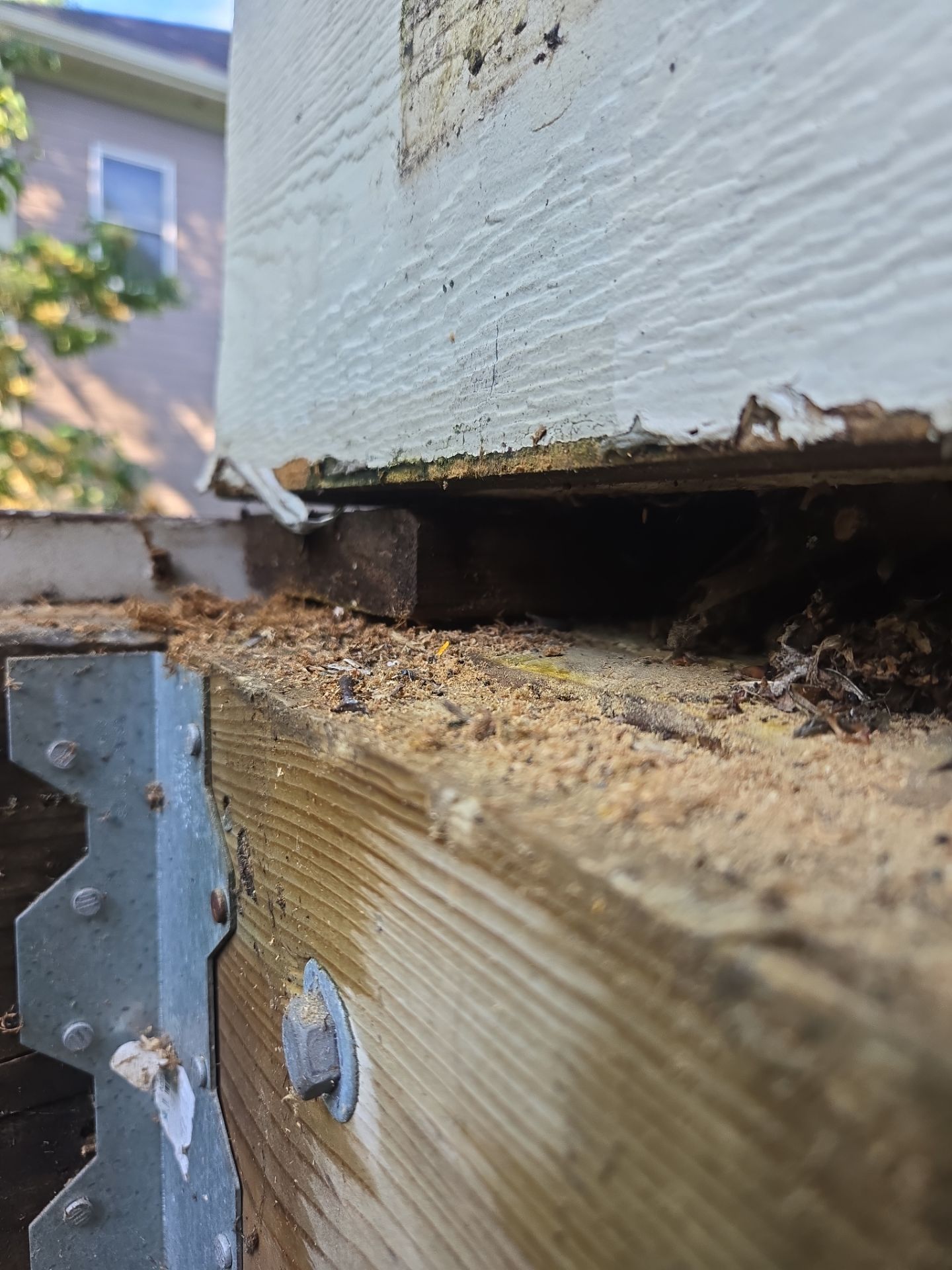 Grand Rapids  by Cutting Edge Homes