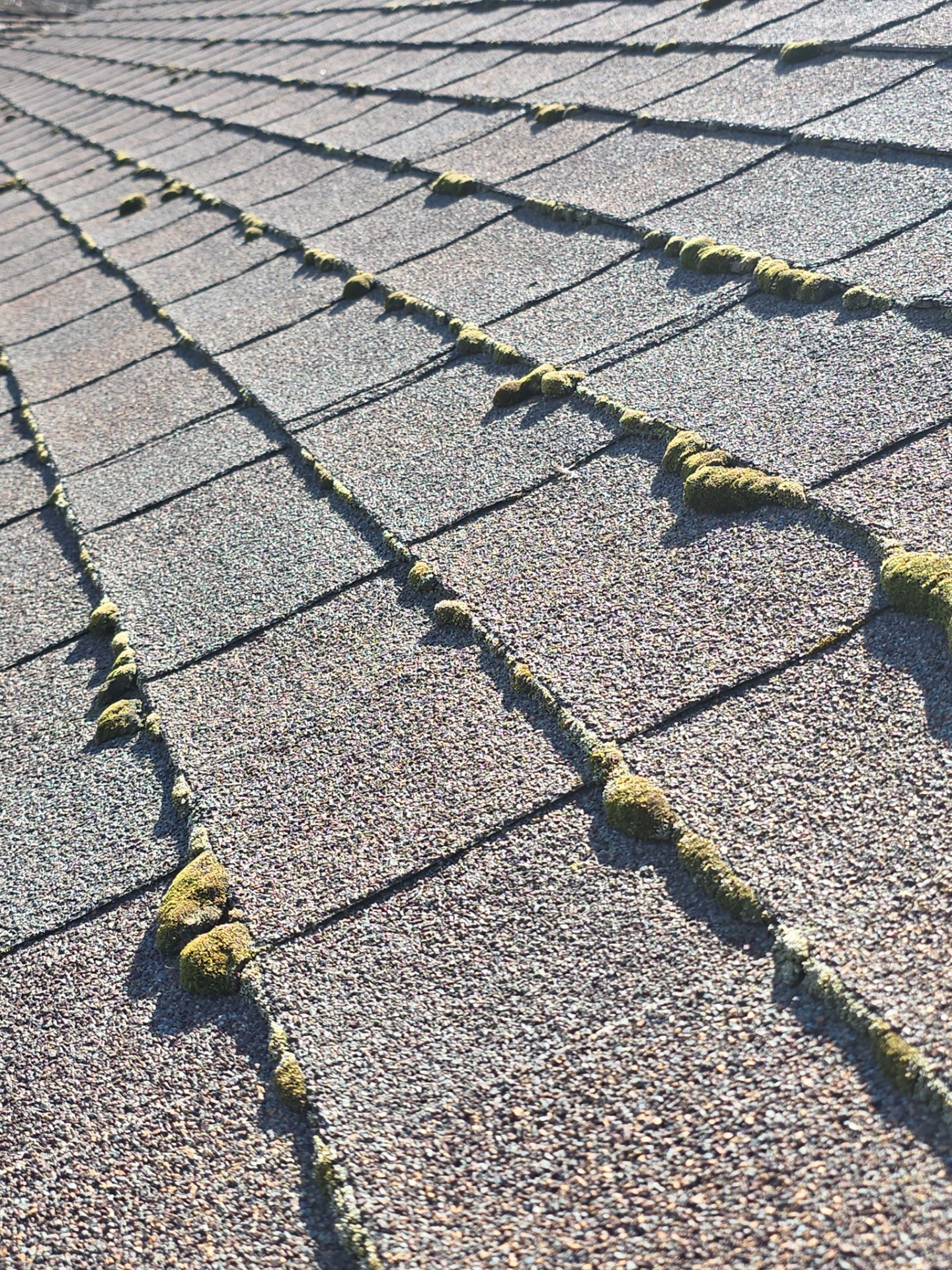 Roof Rejuvenation using Roof Maxx Treatment by Roof Maxx of Folsom