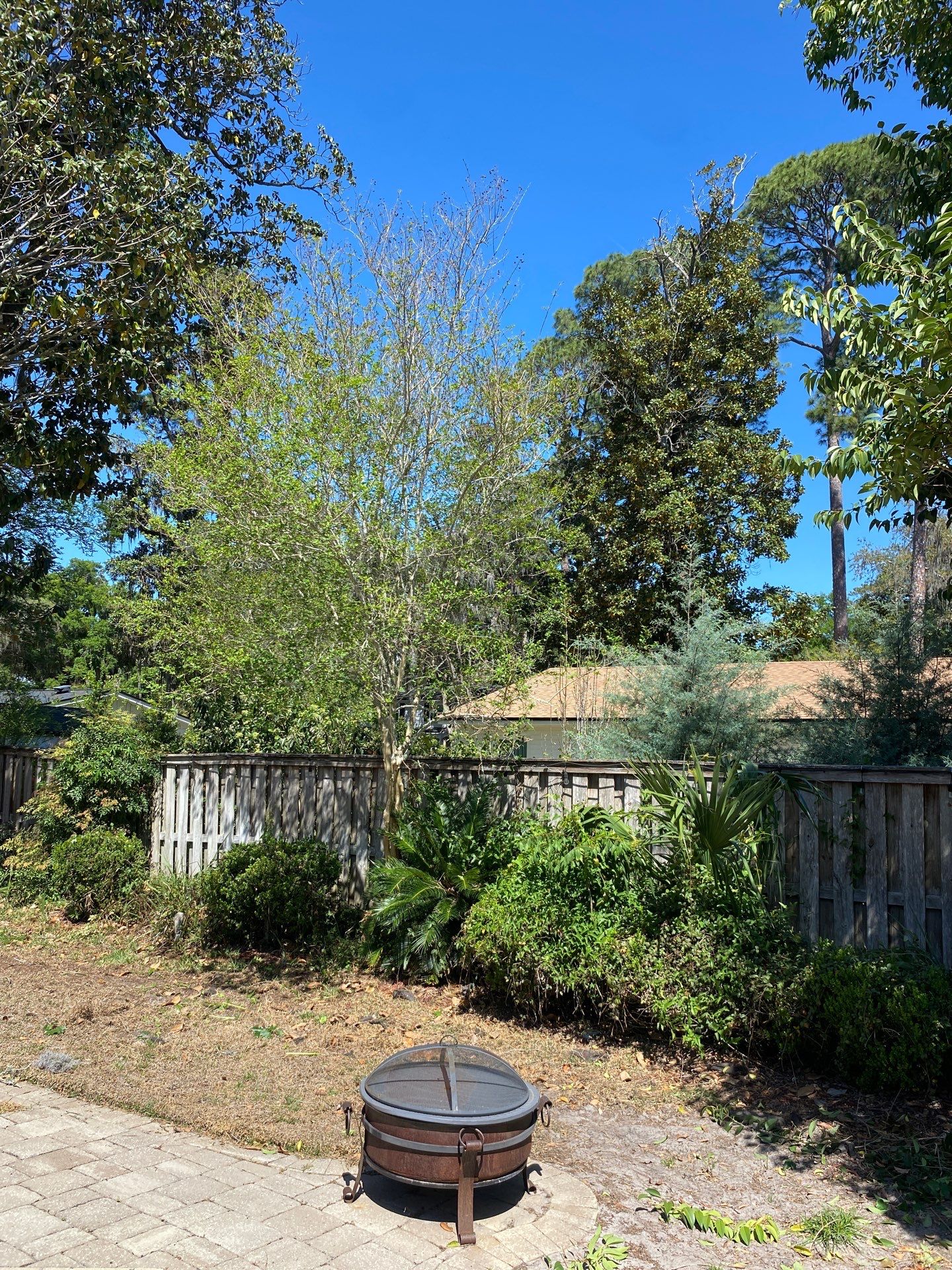 Residential | Tree Removal & Trimming by ProGreen Services