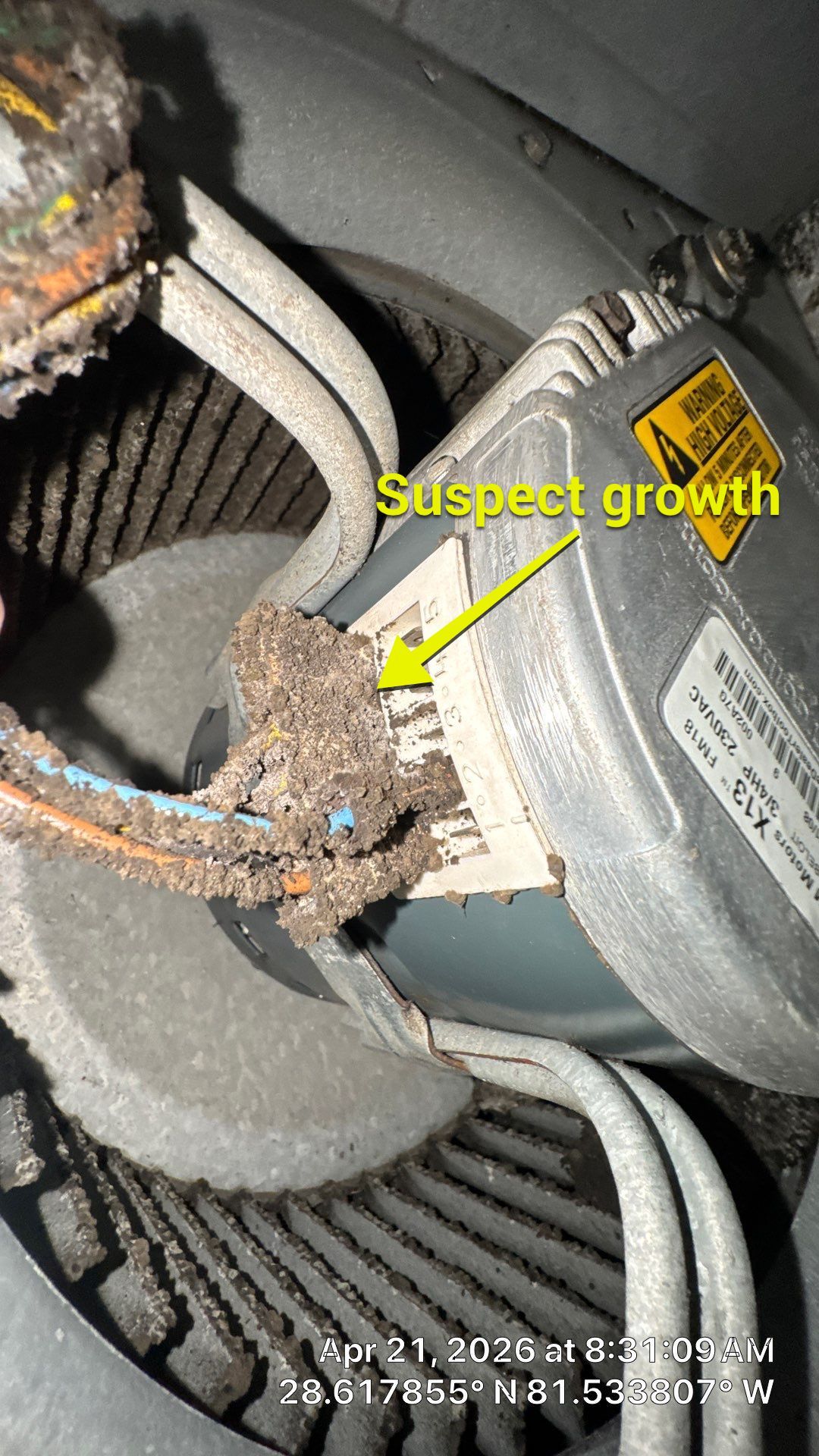 Air Duct Cleaning in Ocoee by Hygienic Air, Inc