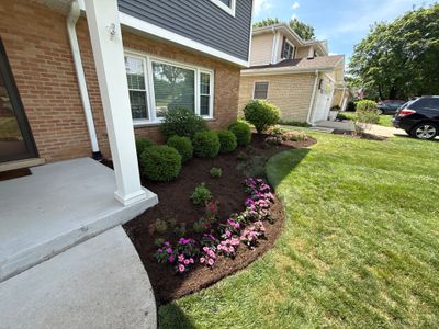 Clay U. - Arlington Heights, IL