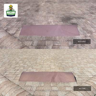 Shingle Roof Cleaning