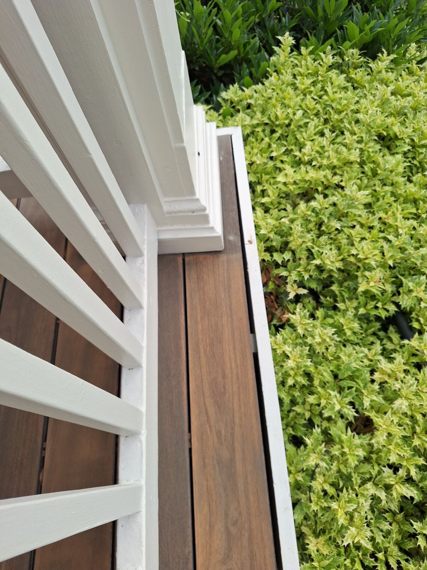 Exterior House Painting in Arlington, VA by My Painter 