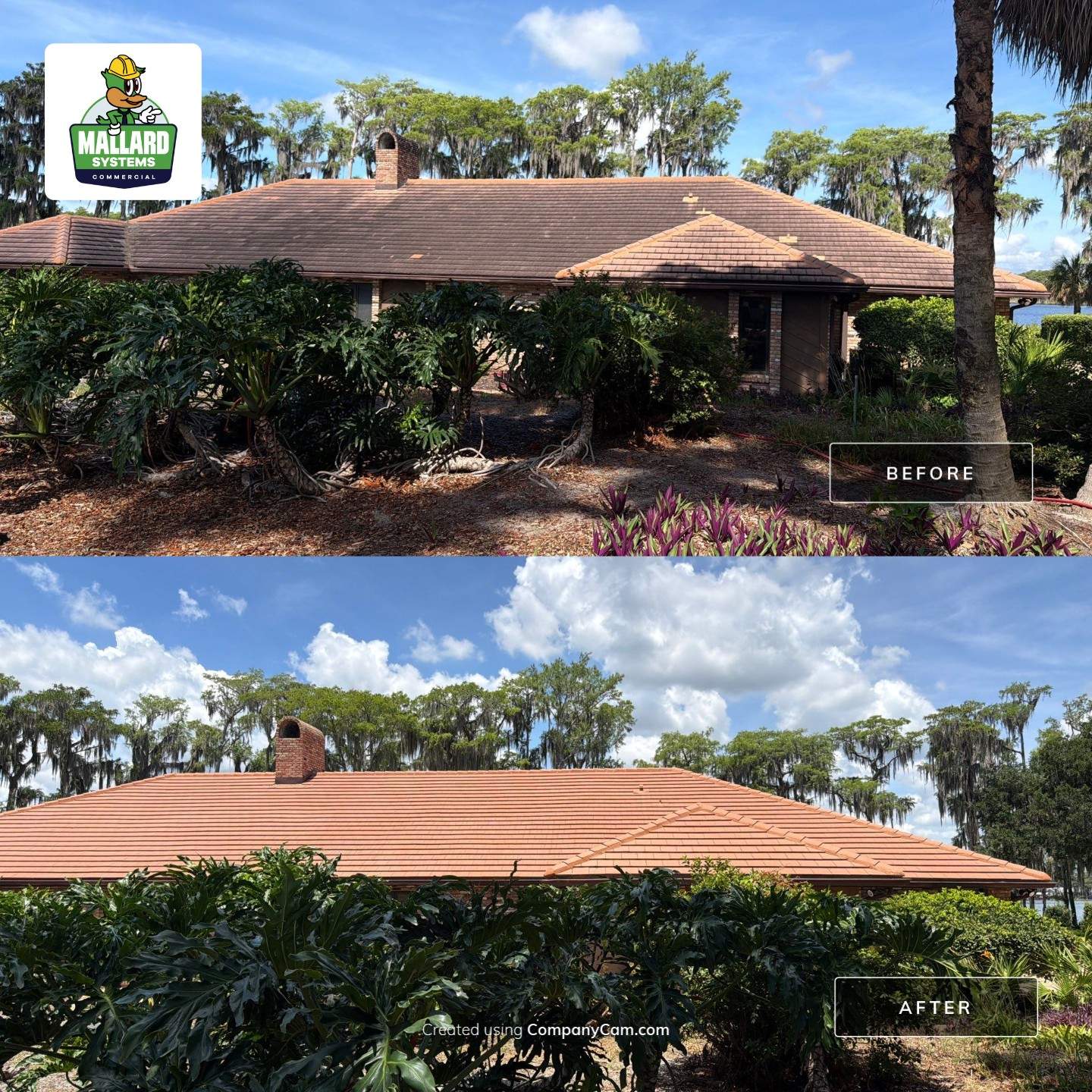 Tile Roof Cleaning and Exterior House Wash in Windermere by Mallard Systems