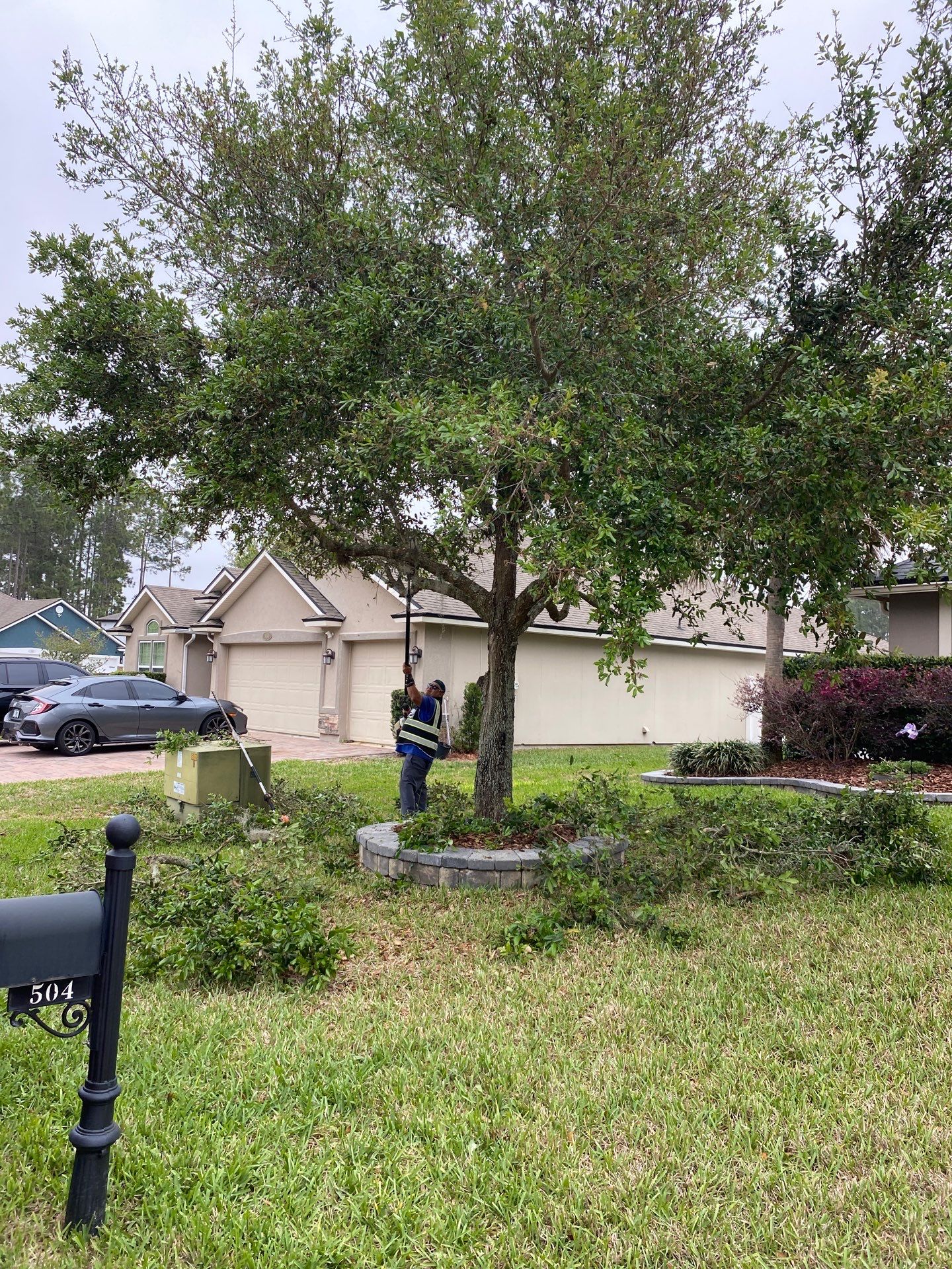 Residential | Tree Service by ProGreen Services