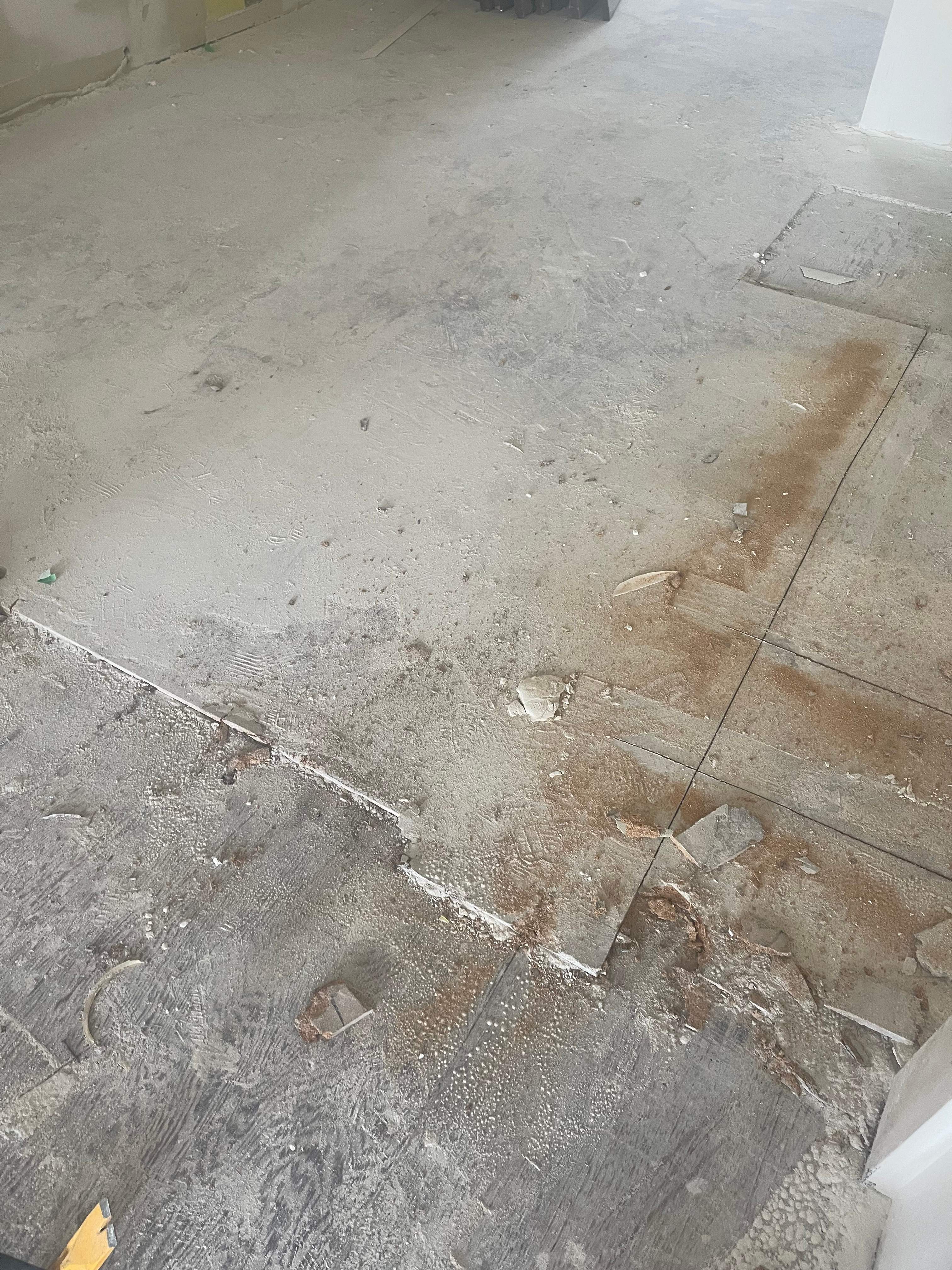 Coquitlam full Renovation Project by YVR Construction Group