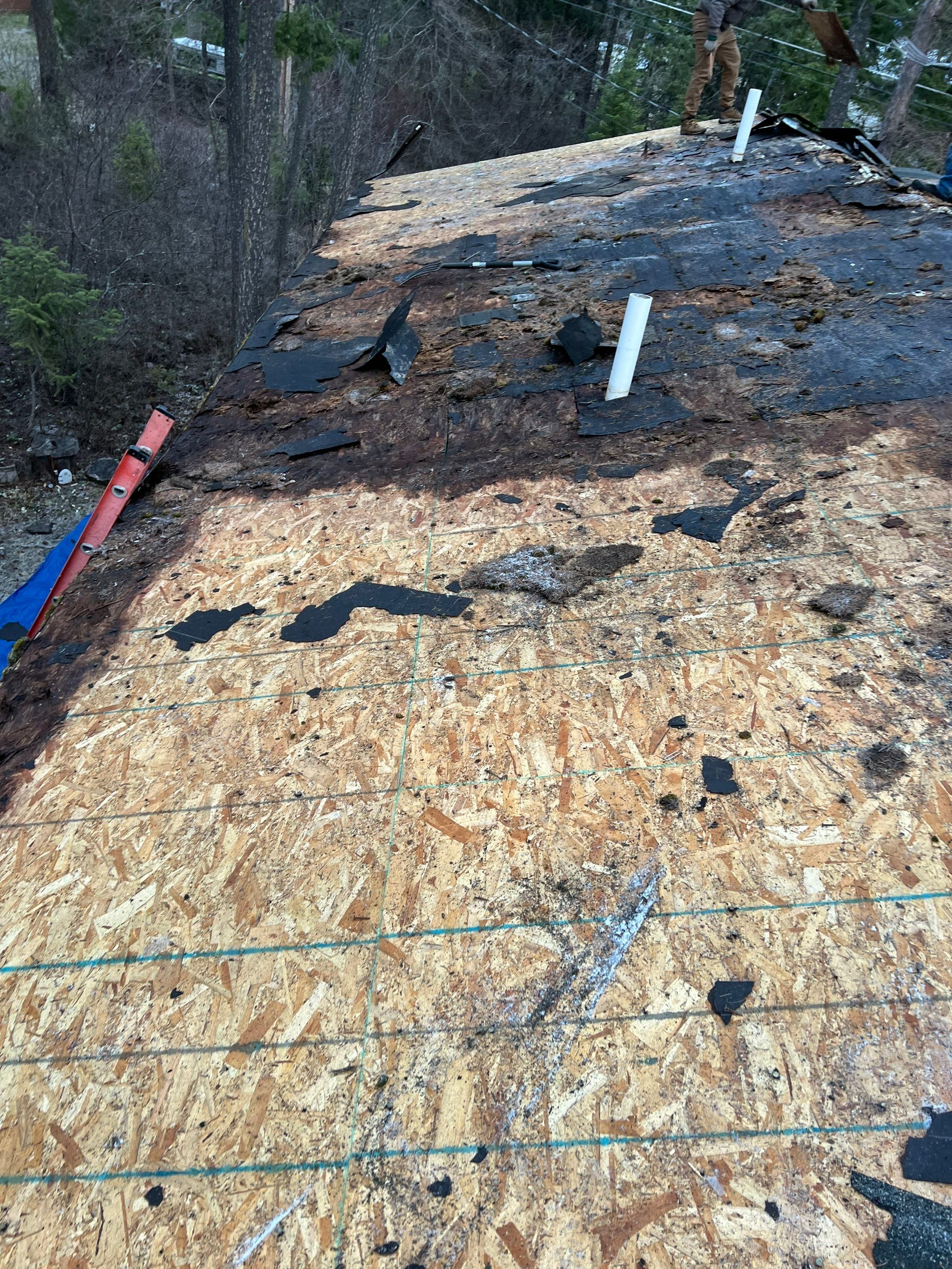 GAF Timberline HDZ - Hunter Green by Montana Roofing Solutions