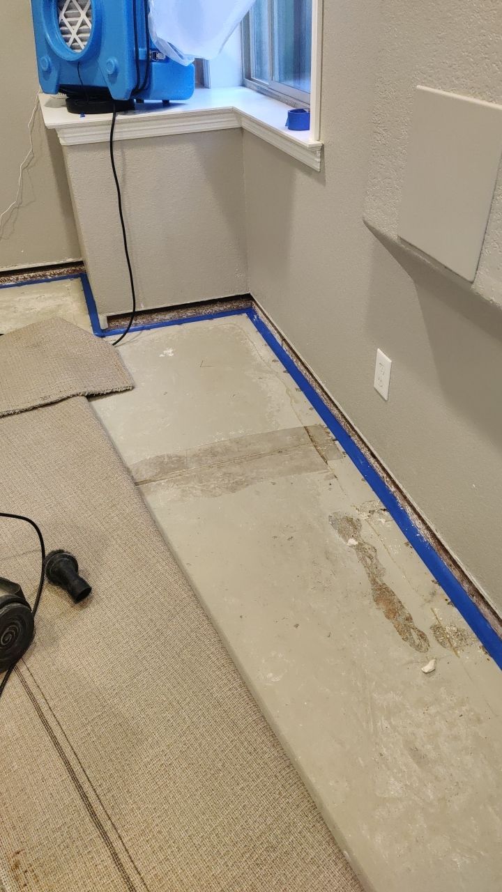 Mold Remediation  by Accountable Home Services