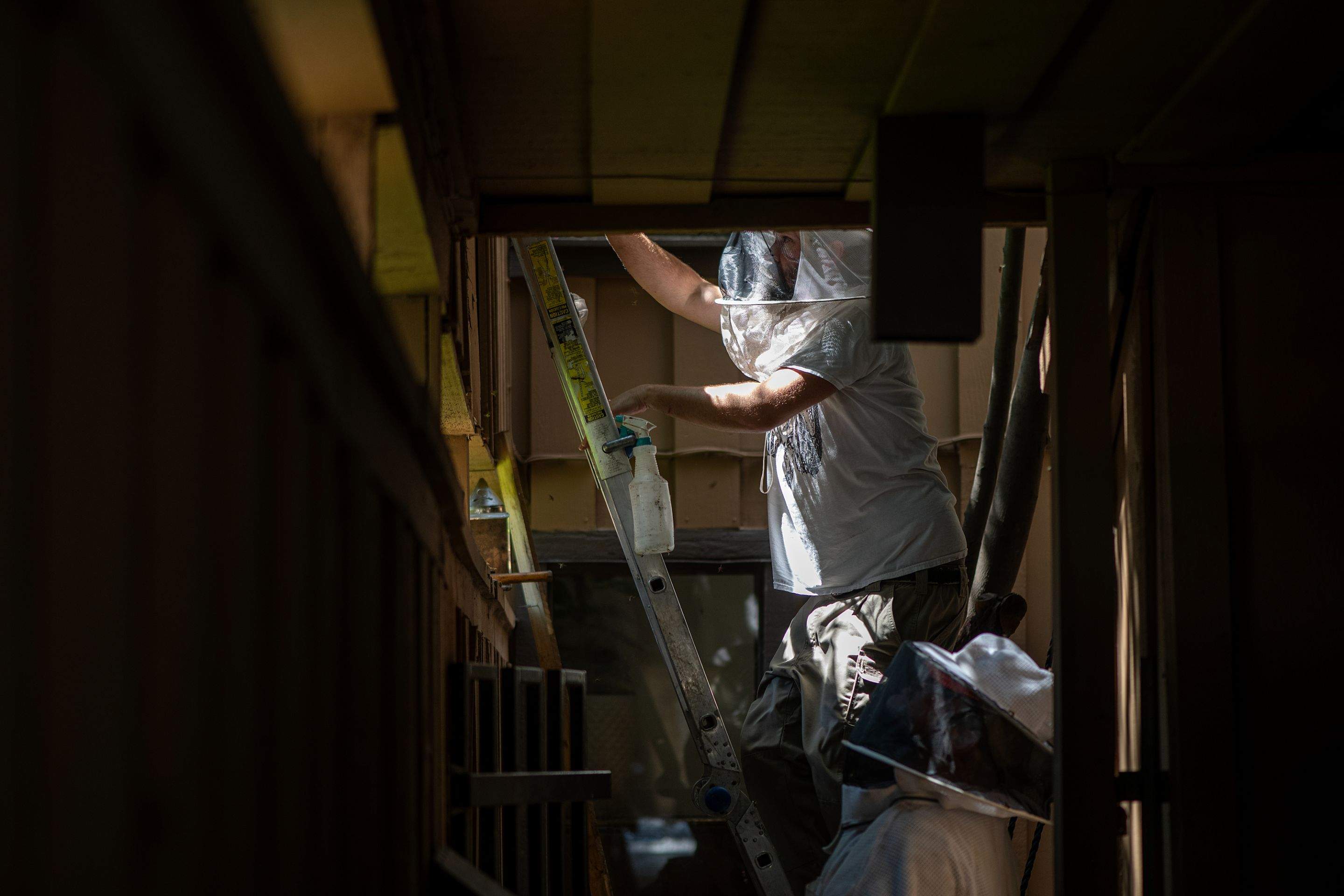 Condo Patio by Rockwall Honey Bee Company