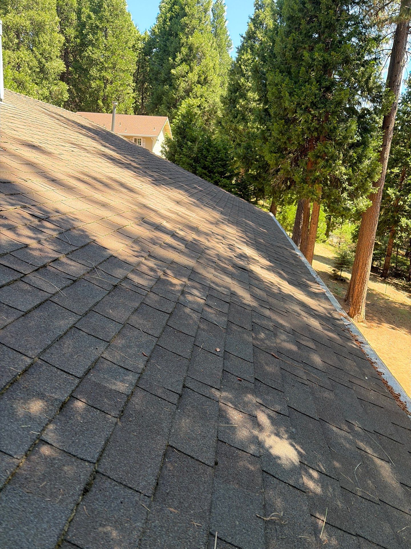 Roof Rejuvenation using Roof Maxx Treatment by Roof Maxx of Folsom