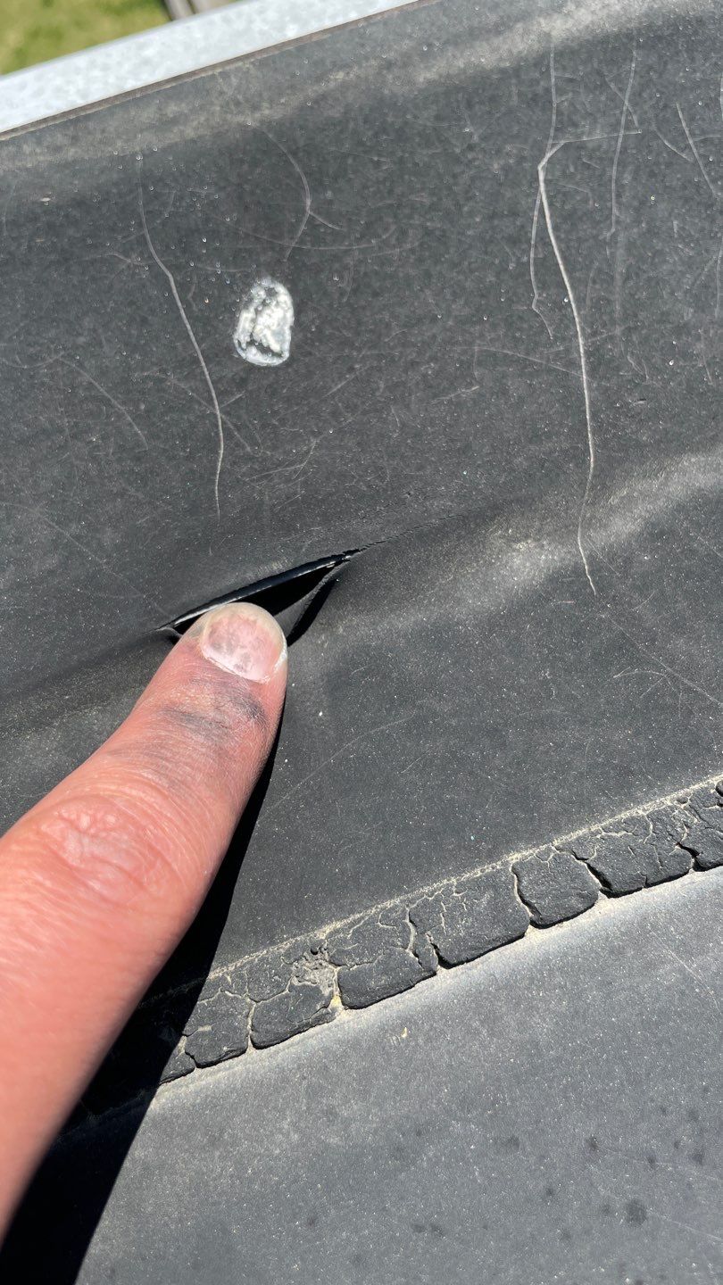 Alexandria: Mule Hide TPO Flat Roof by RM Banning, Inc.