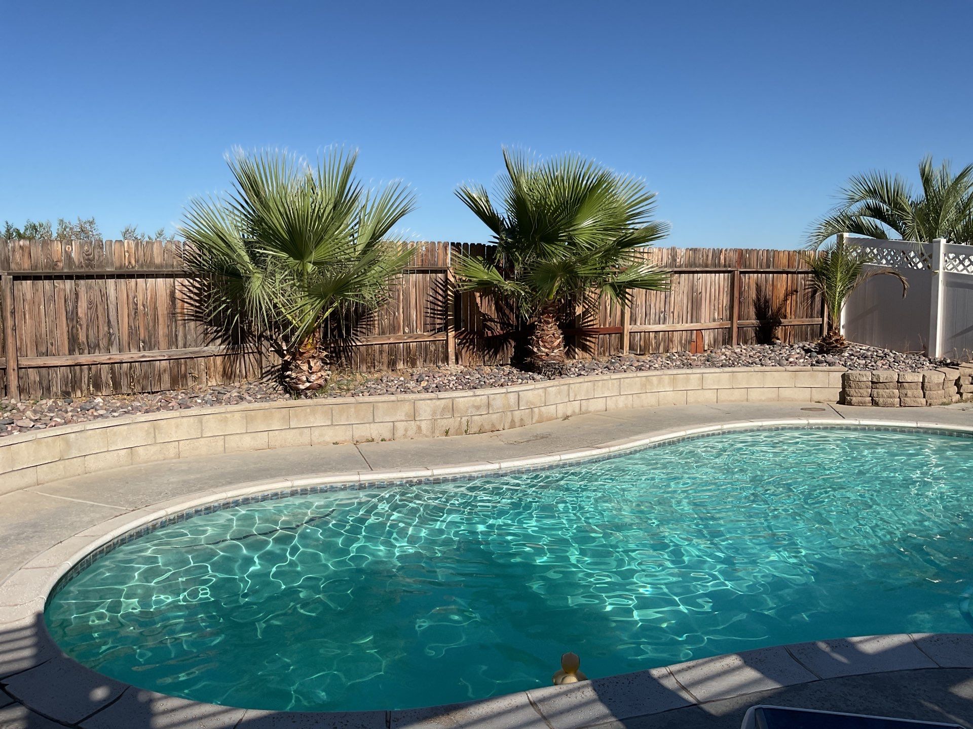 Lattice Vinyl with Privacy Vinyl Fence by Fence Guys Inc.