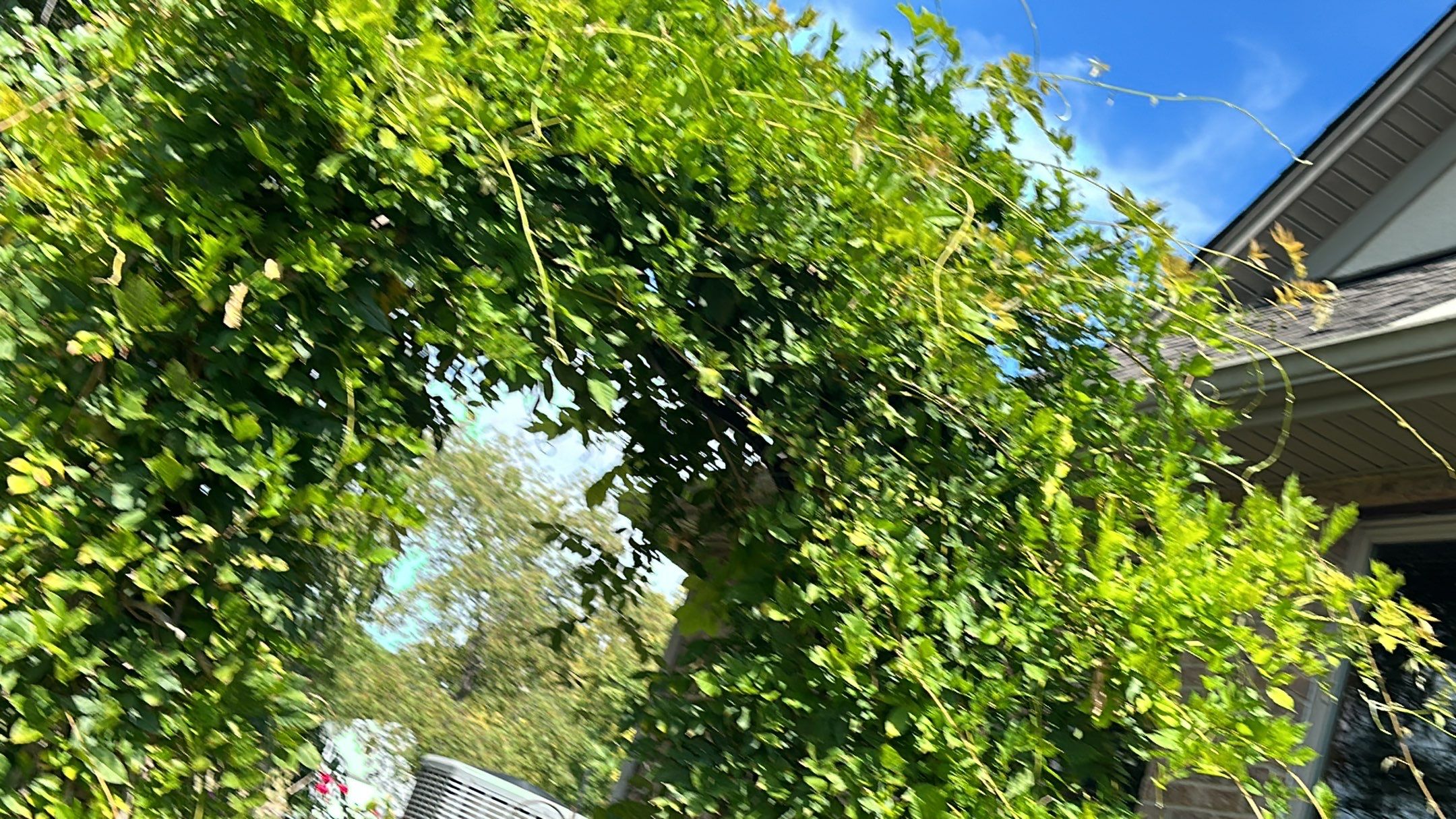 West Hamilton - Majestic Shake by Tamlin Roofing