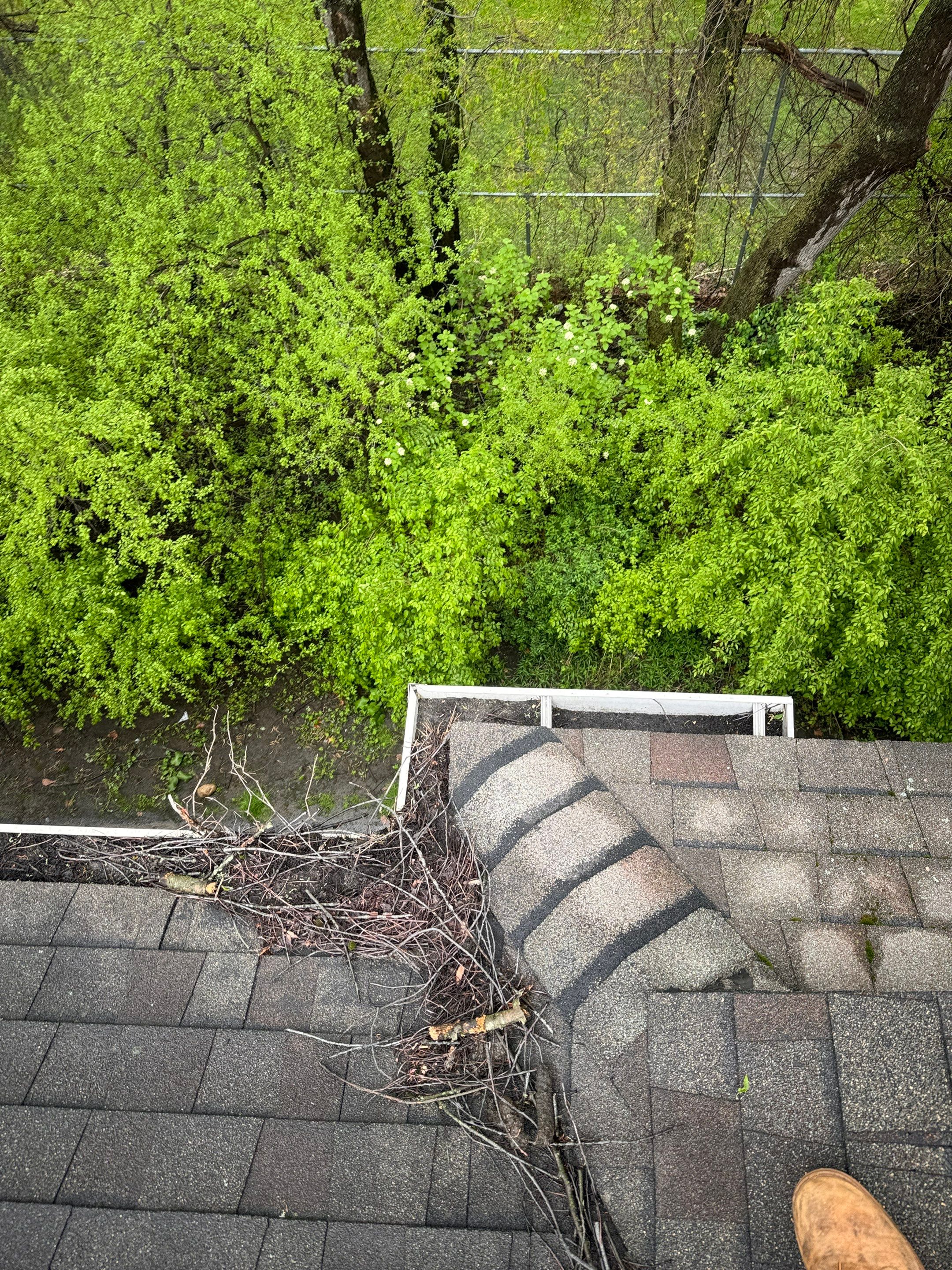Commercial gutter cleaning Kalamazoo before photo with filled gutters