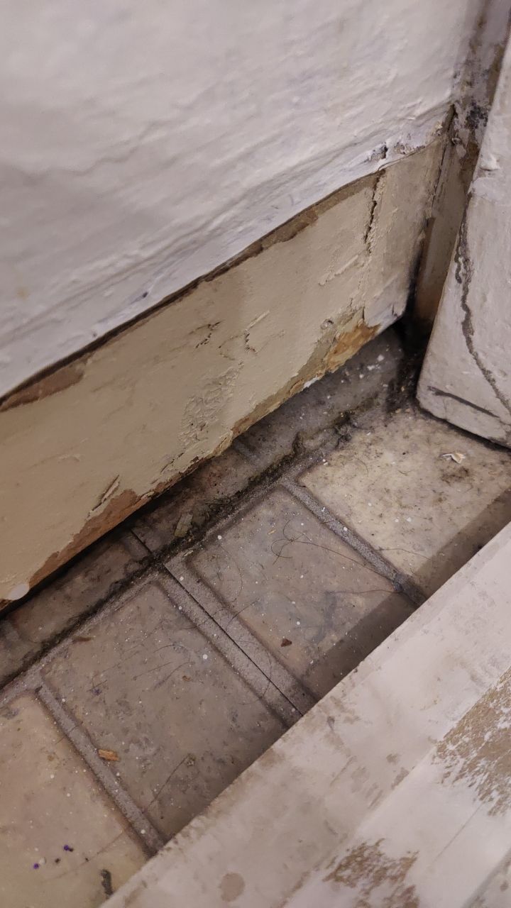 Mold Remediation by Accountable Home Services