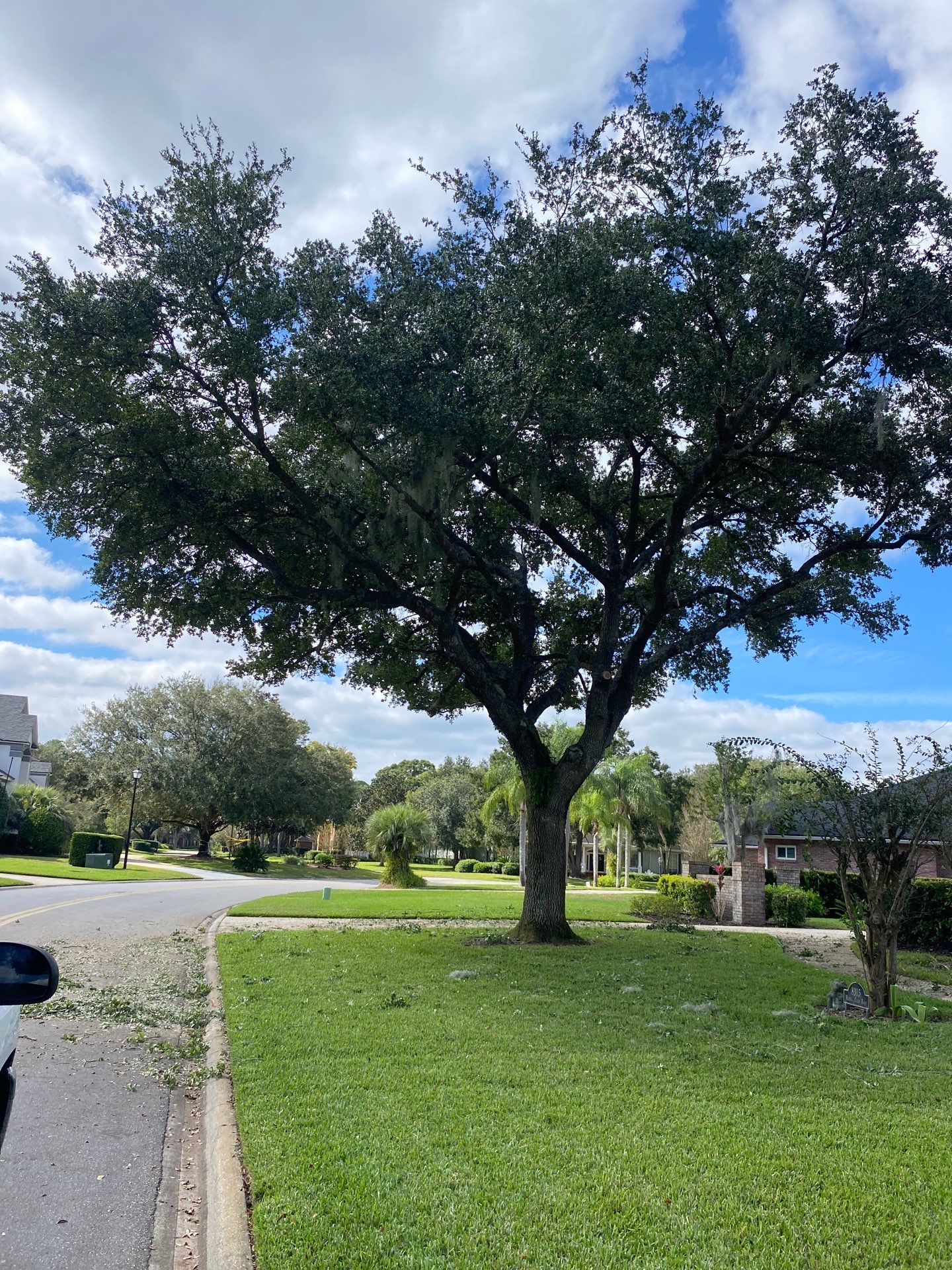Deerwood | Tree Trimming & Sod Install | Residential by ProGreen Services