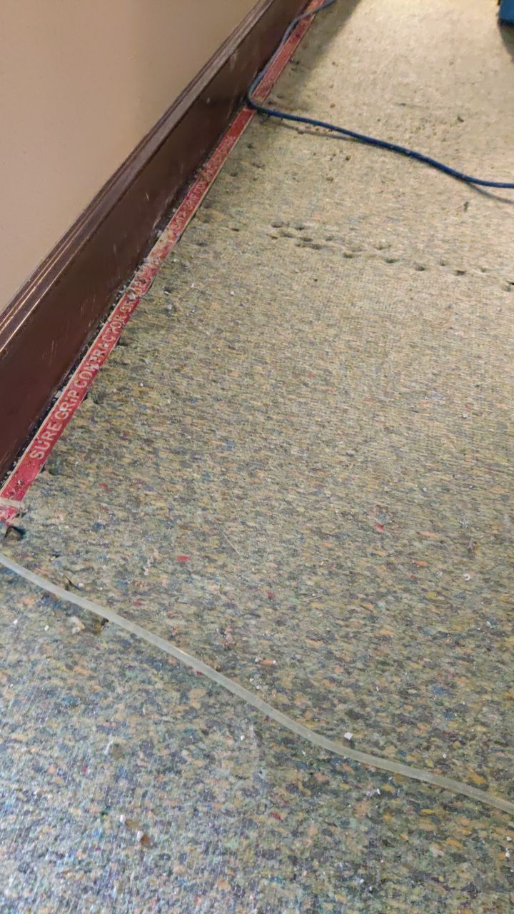 Water Damage Throughout Main Floor, Basement, and Crawl Space by Accountable Home Services