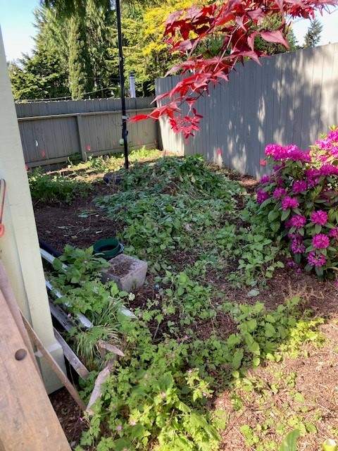 Ashley | Concrete Back Patio by Jireh Asphalt & Concrete Inc 