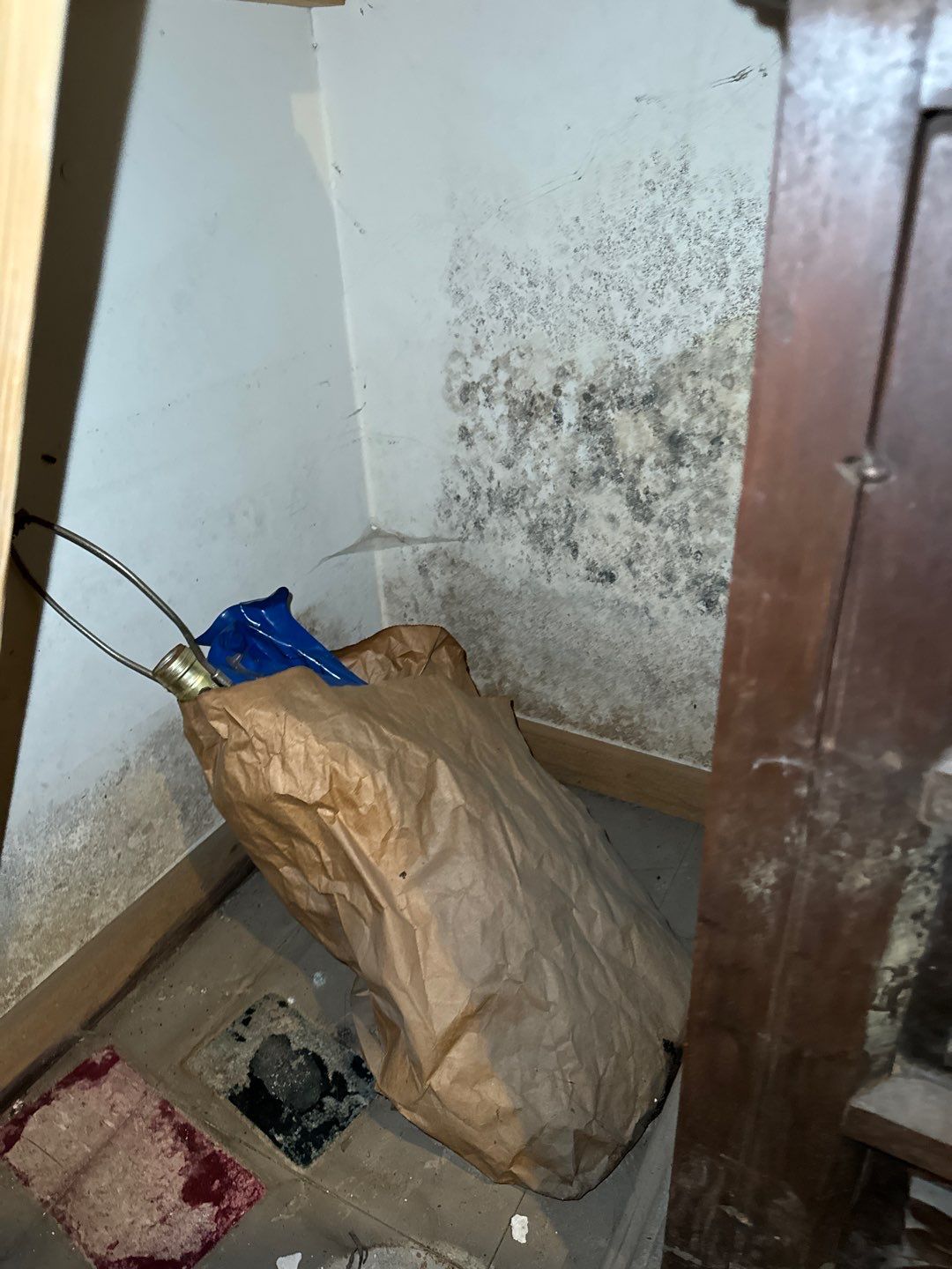 Water pipe break behind a wall by Chicagoland Water Medics