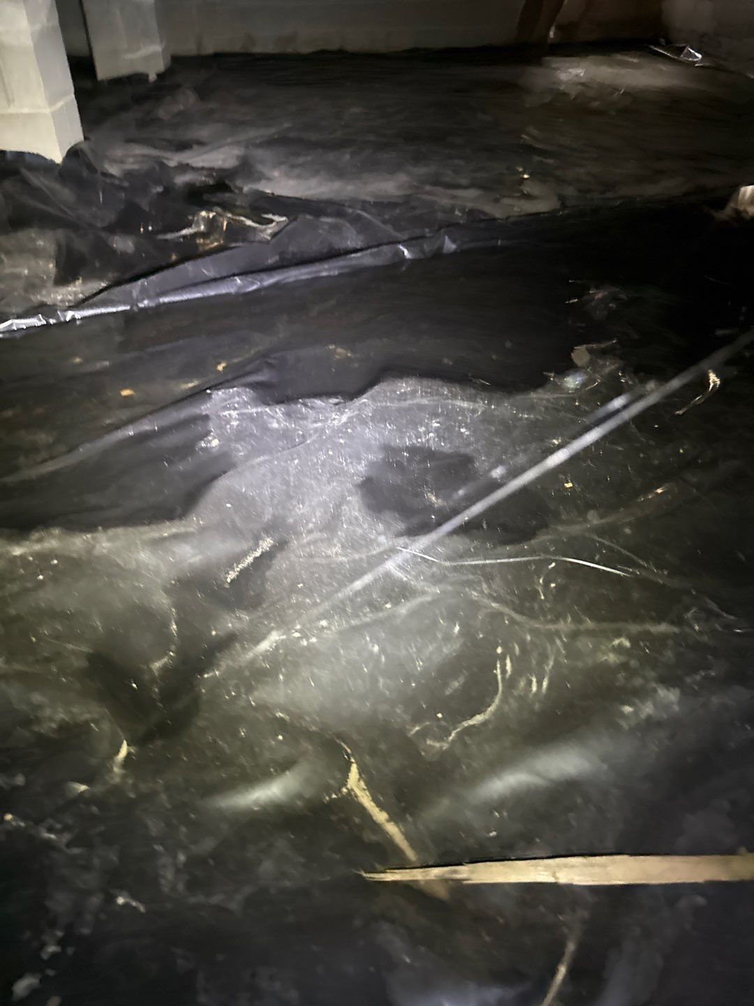 Real Estate Mold Remediation by Healthy Home Solutions