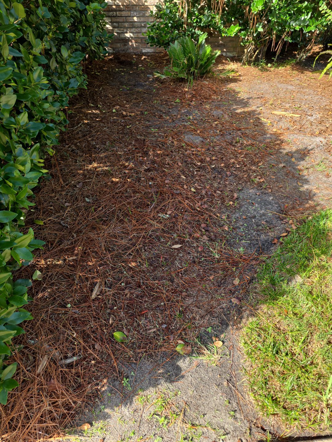 Deerwood Resident | Freshen Up Project by ProGreen Services