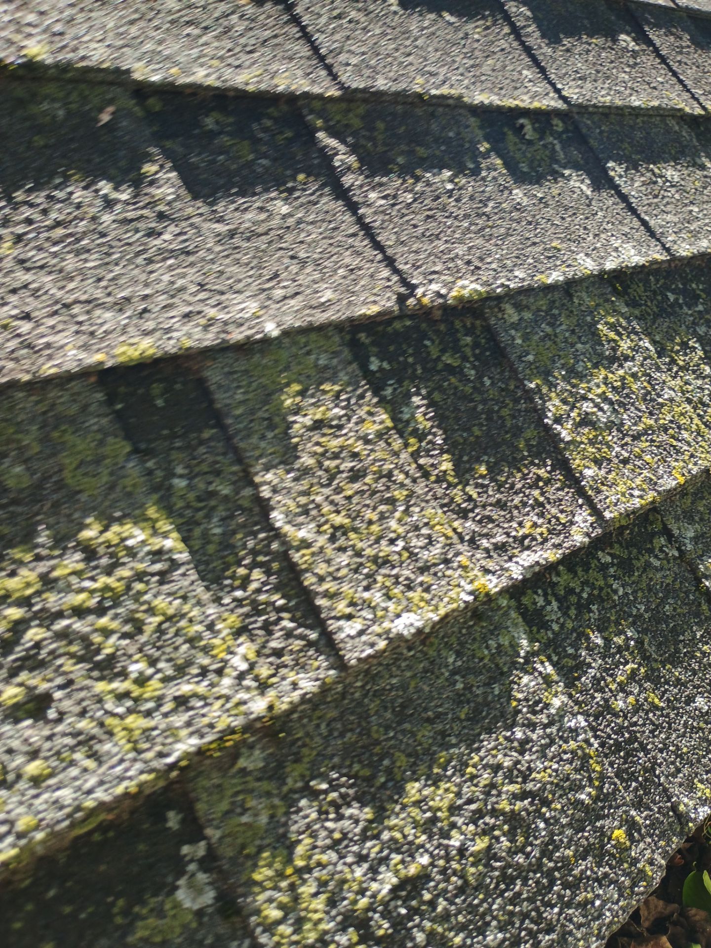 Architectural Shingle Roof Replacement for Brick Residence in Ardmore by BANA Roofing and Solar Supply
