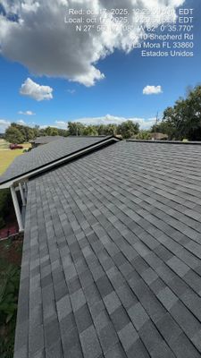 Project in Mulberry