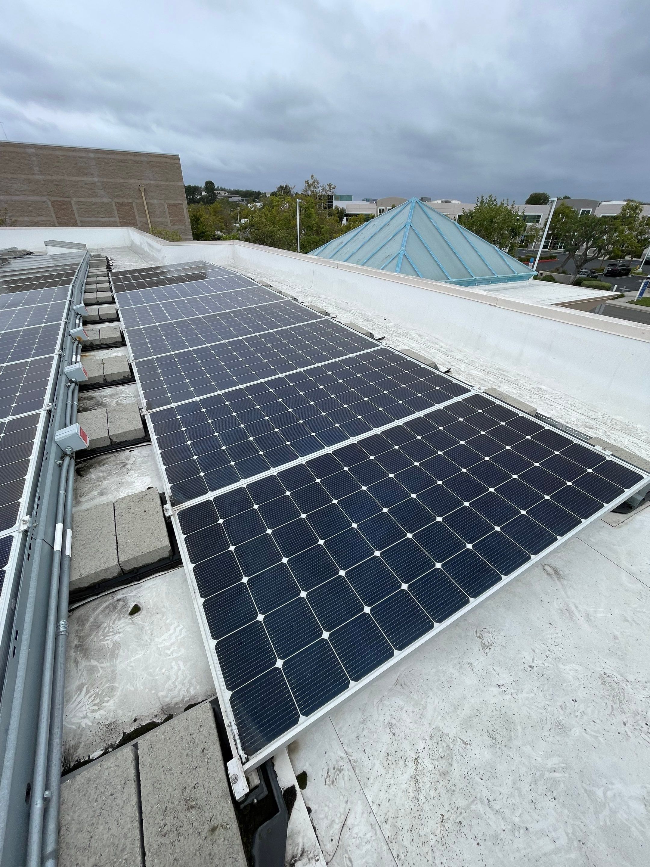 Commercial Solar Cleaning by Palm Coast Solar Cleaning