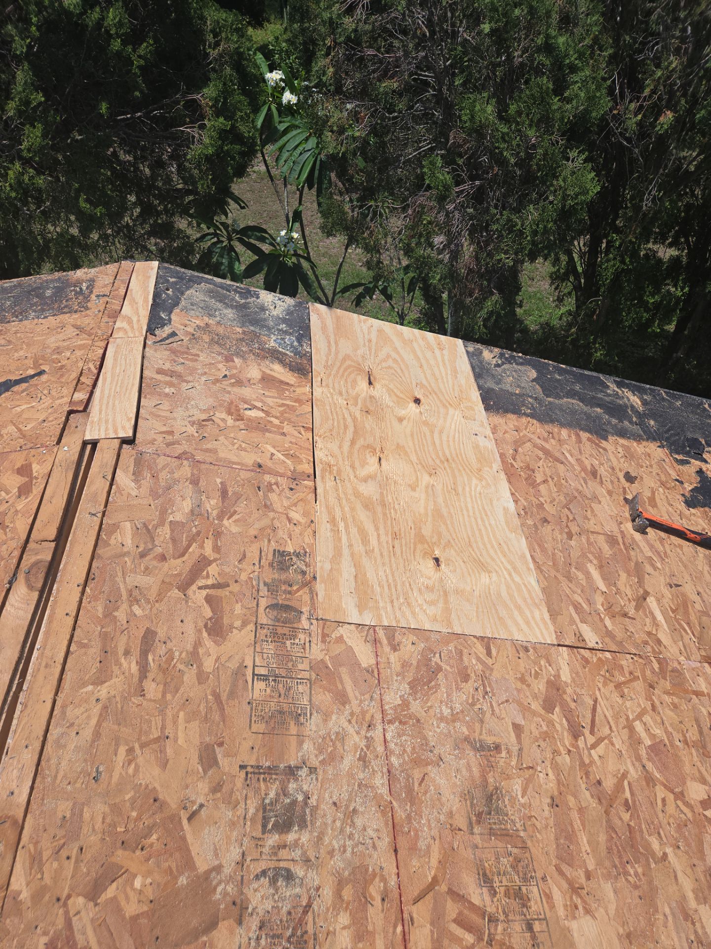 Project in Largo 33770 by Mitchell Roofing Company LLC 