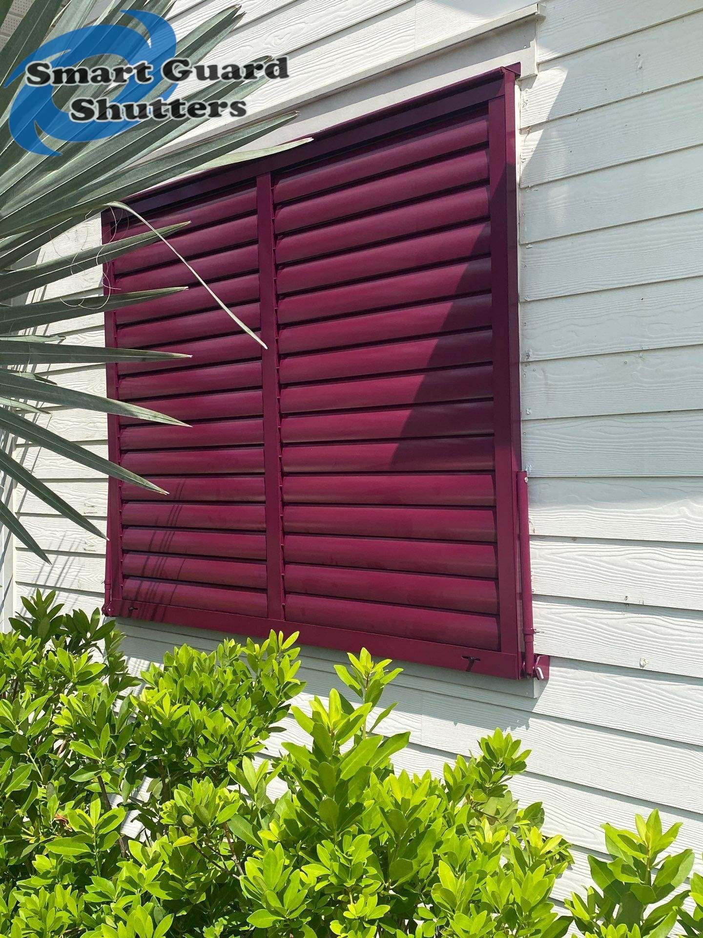 Impact Bahamas in Claret Violet by Smart Guard Shutters