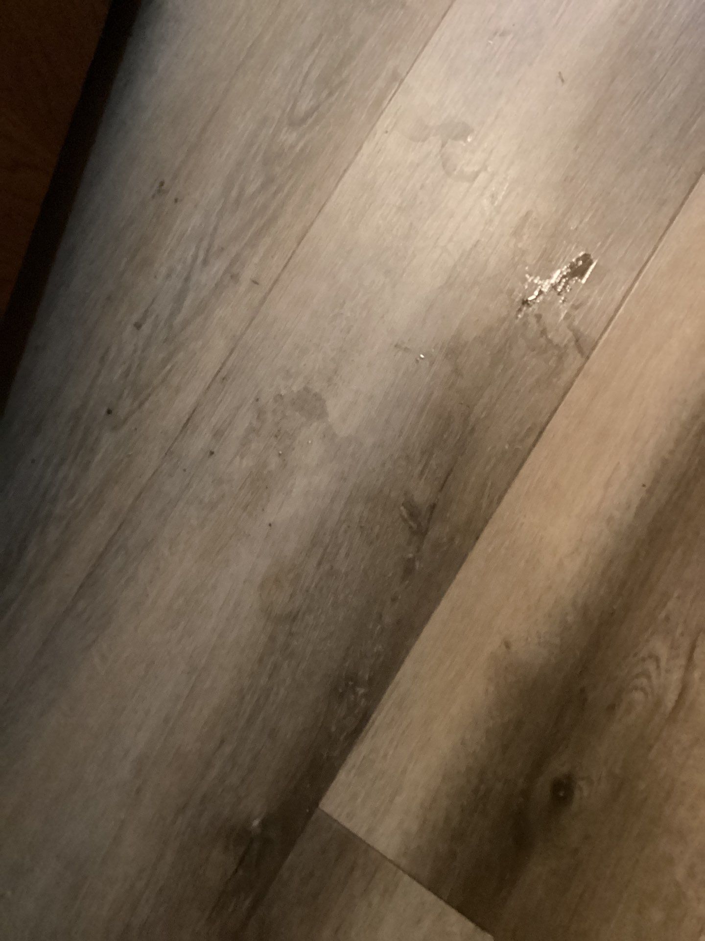 Project in Piedmont by PRO-ROOTER