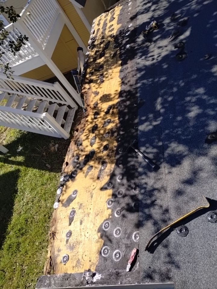Olive you a Lot! by Bayfront Roofing and Construction