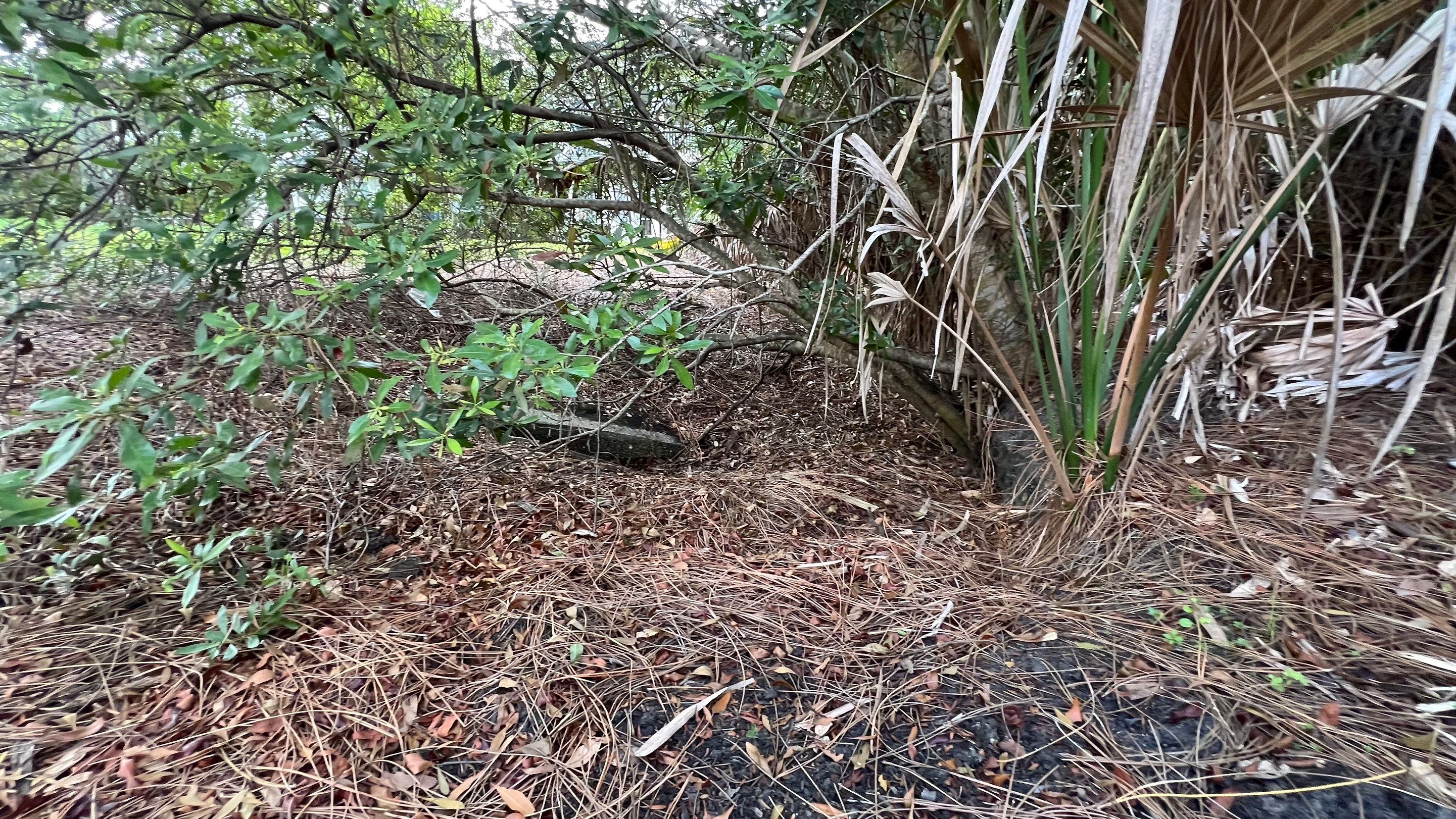 Estero Community Stormwater System Maintenance by APS Power & Water