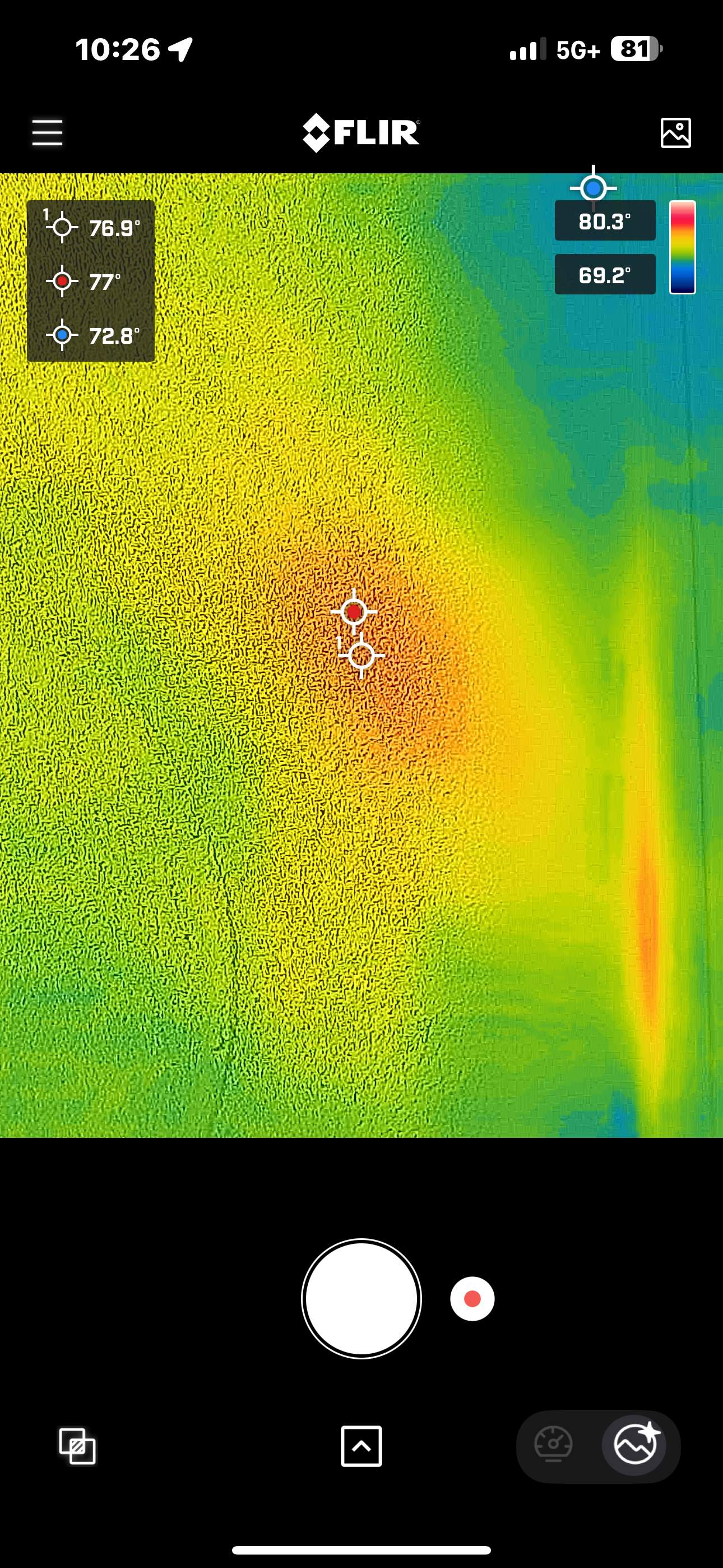 Feet Bees by Rockwall Honey Bee Company