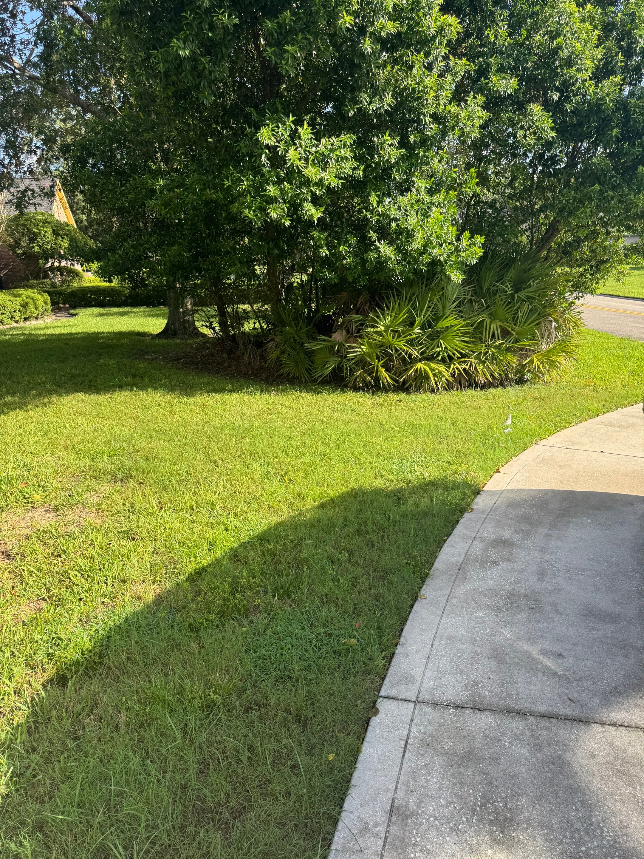Deerwood Resident | Sod Installation by ProGreen Services