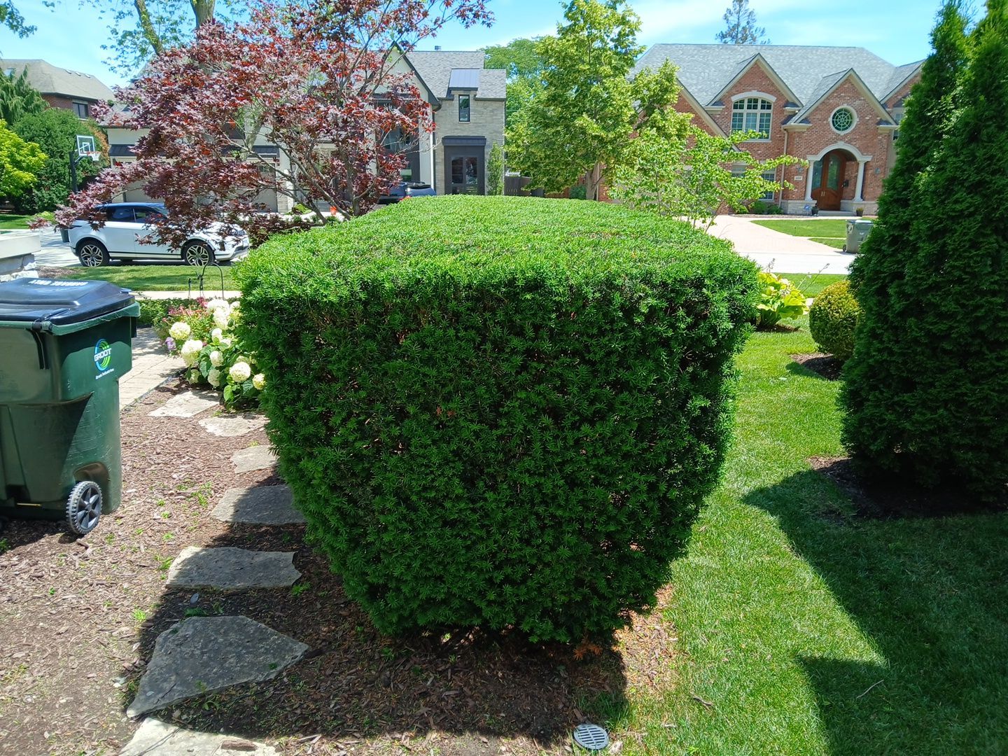 Lisa C. - Arlington Heights, IL by A&N