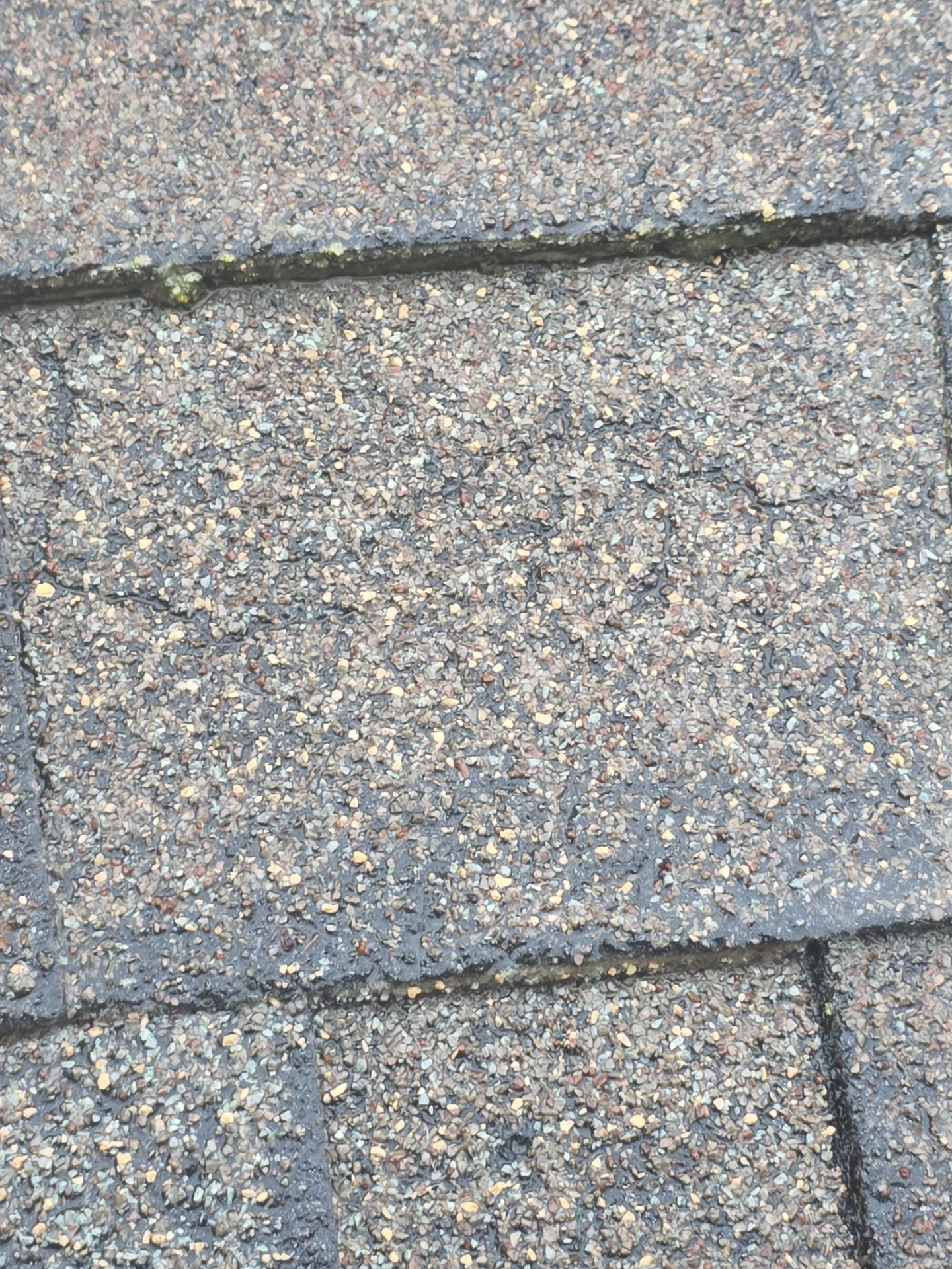 Roof Rejuvenation using Roof Maxx Treatment by Roof Maxx of Folsom