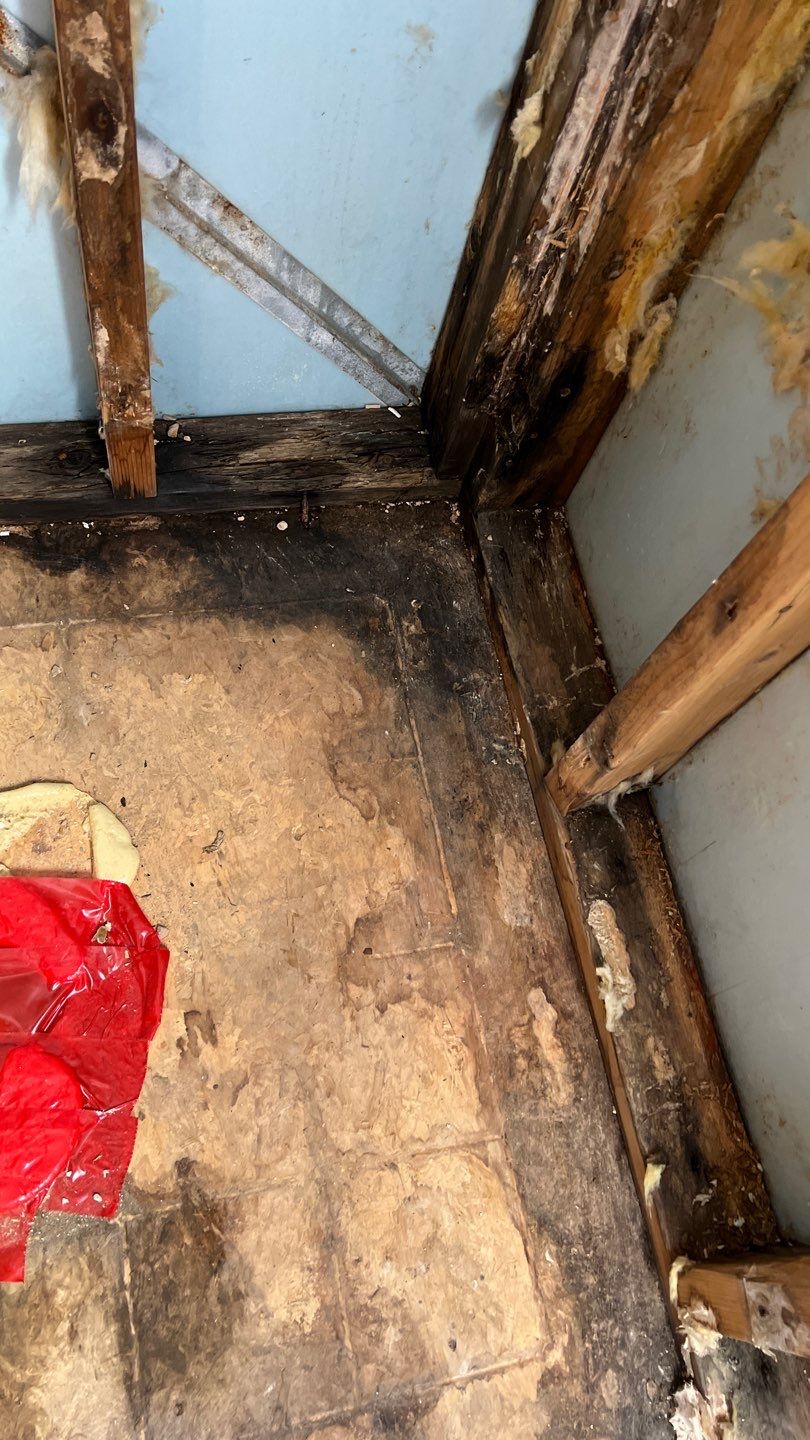 Water Damage and Mold Remediation by Accountable Home Services