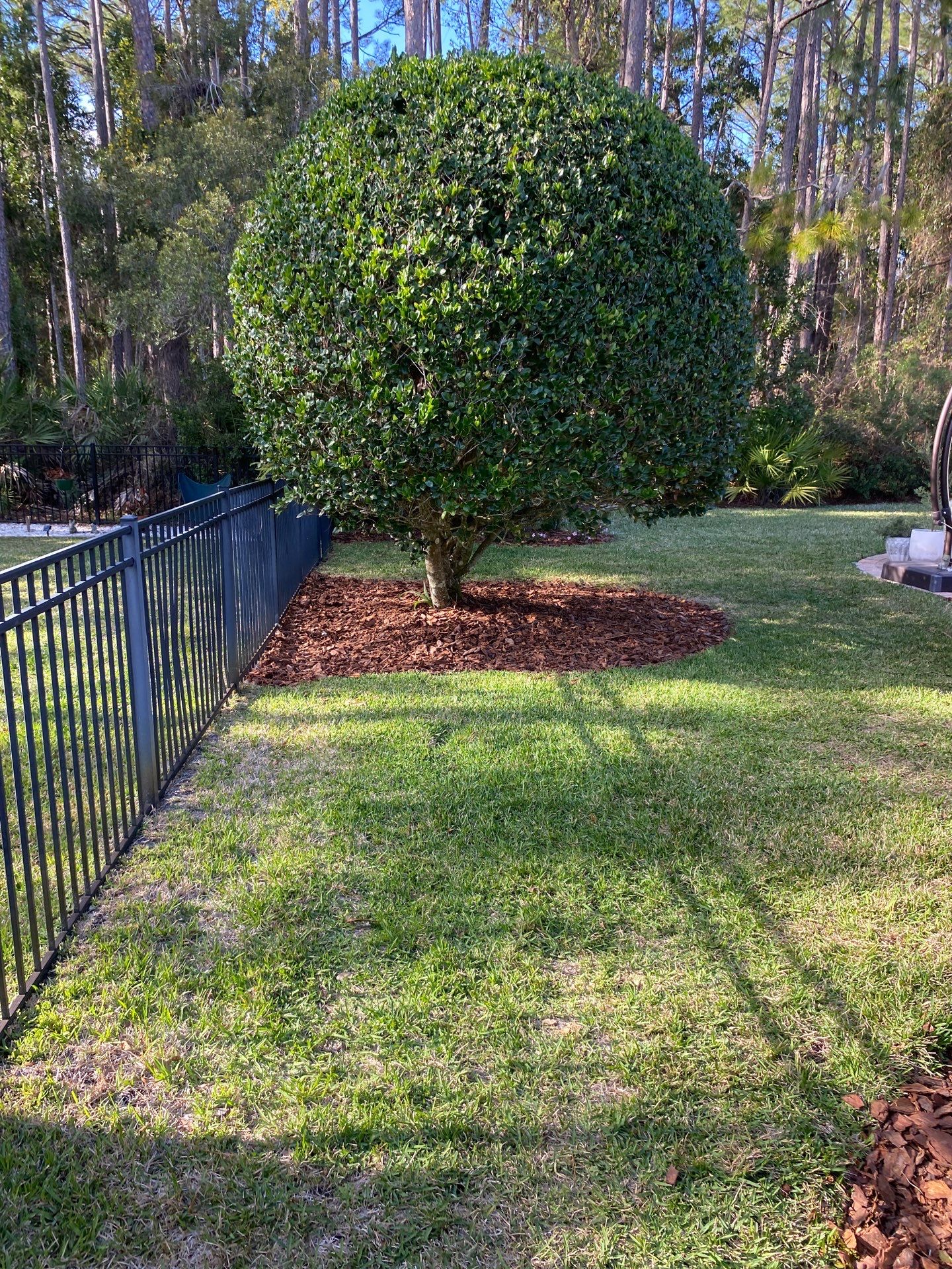 Residential | Landscaping by ProGreen Services