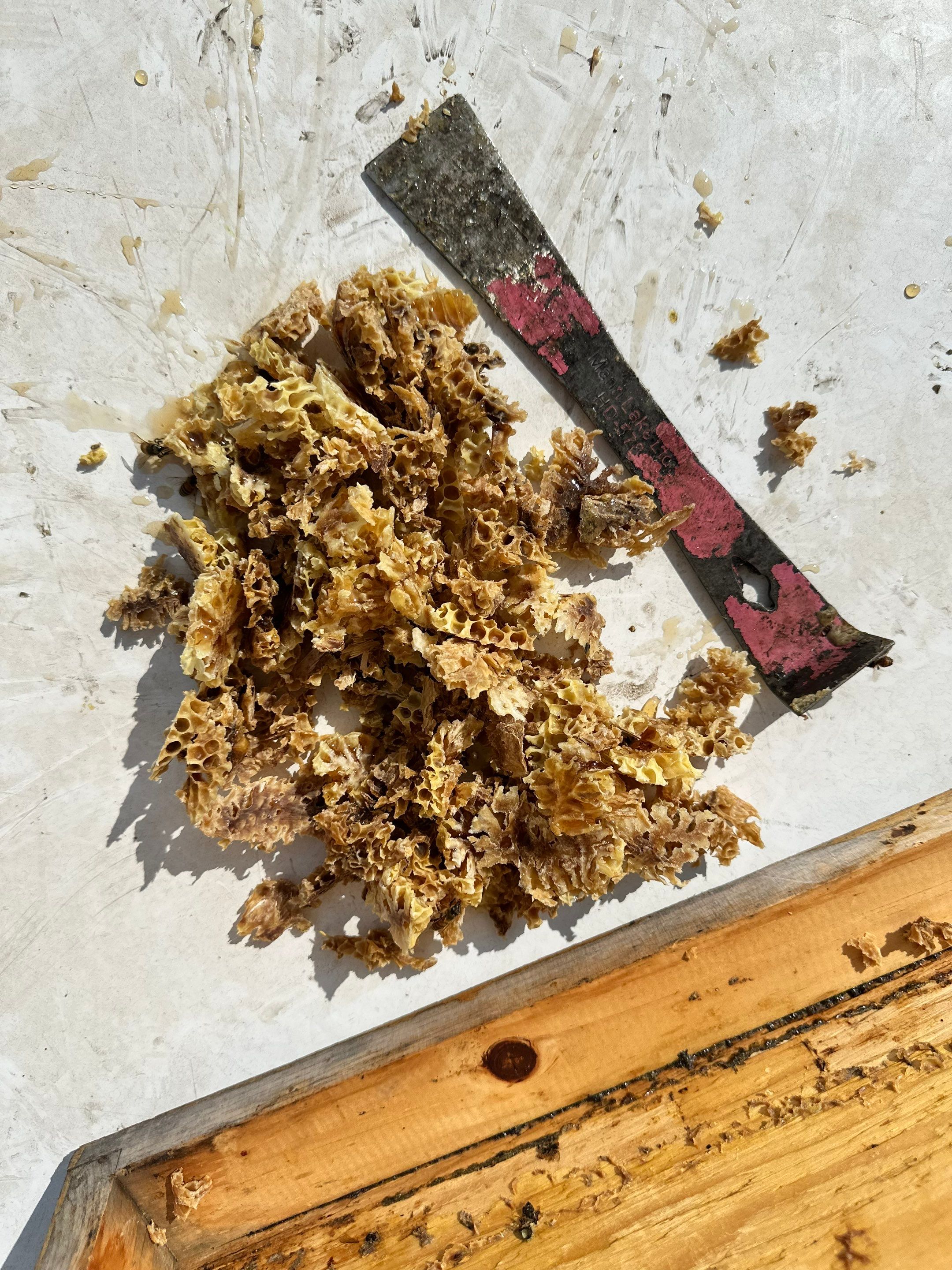 Rooftop Bees in Frisco by Rockwall Honey Bee Company