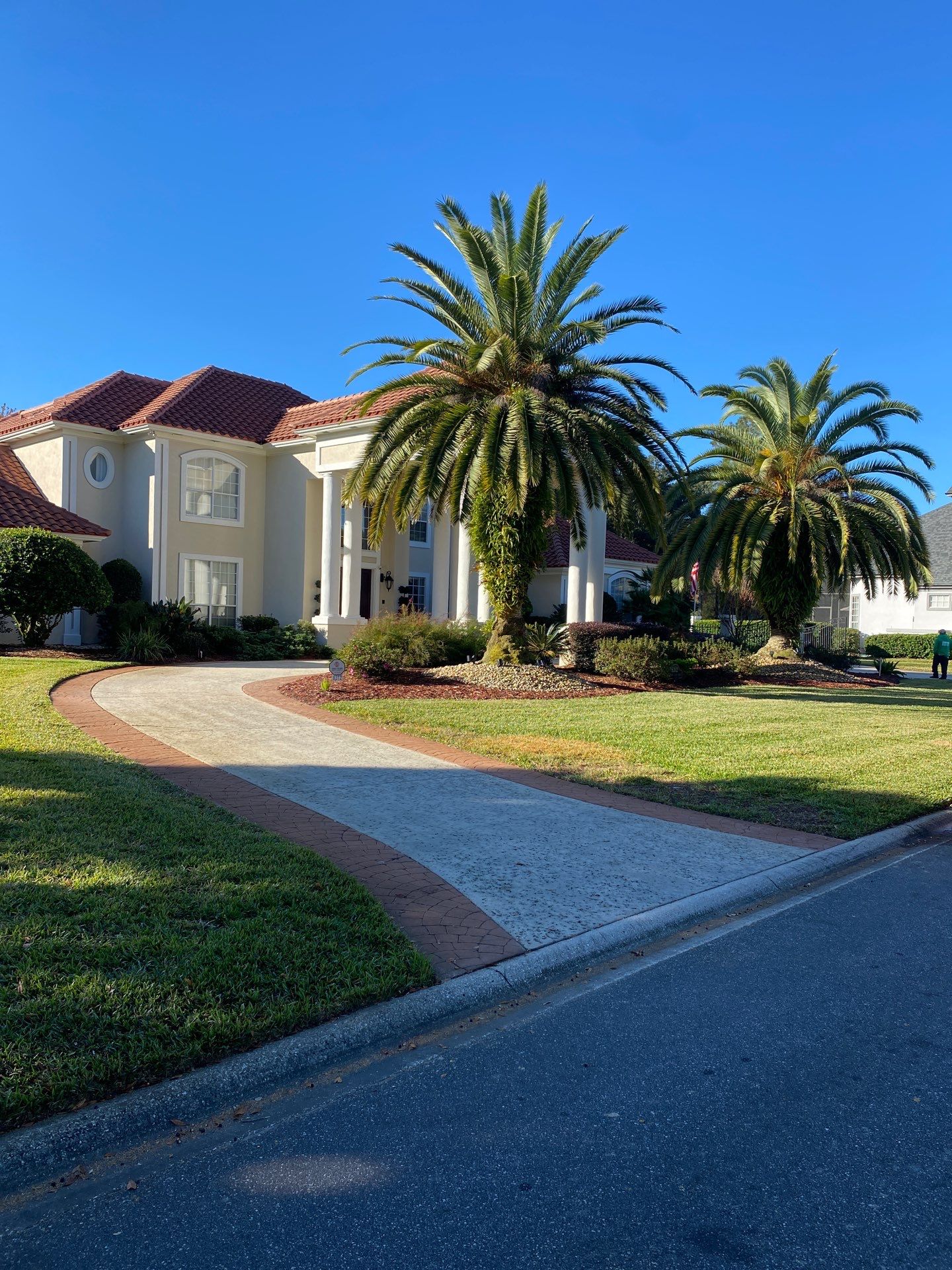 Deerwood Resident | Palm Trimming & Ground Cover by ProGreen Services