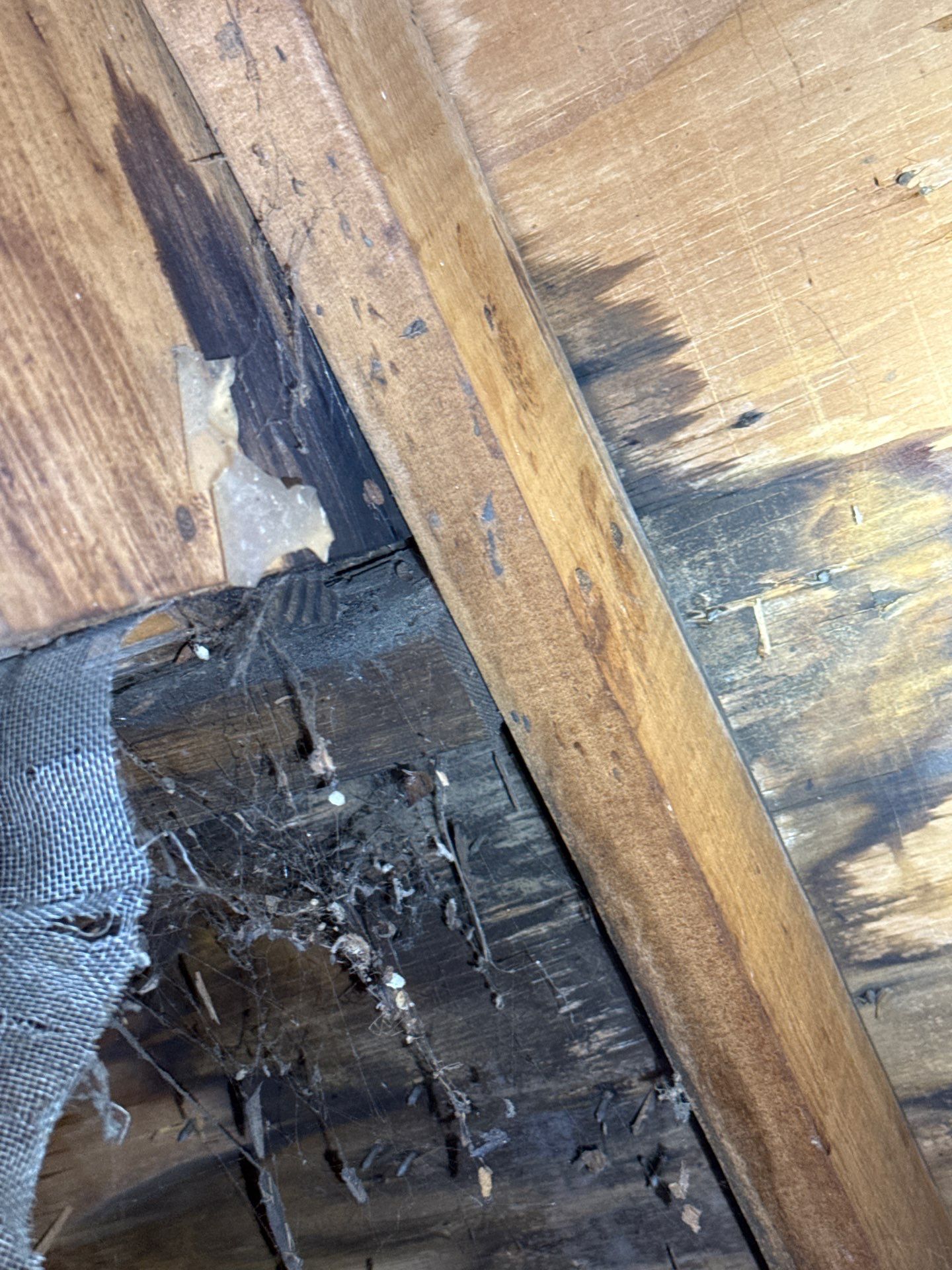 Roof Replacement Siding Repair using Company Cam by Karcher Roofing