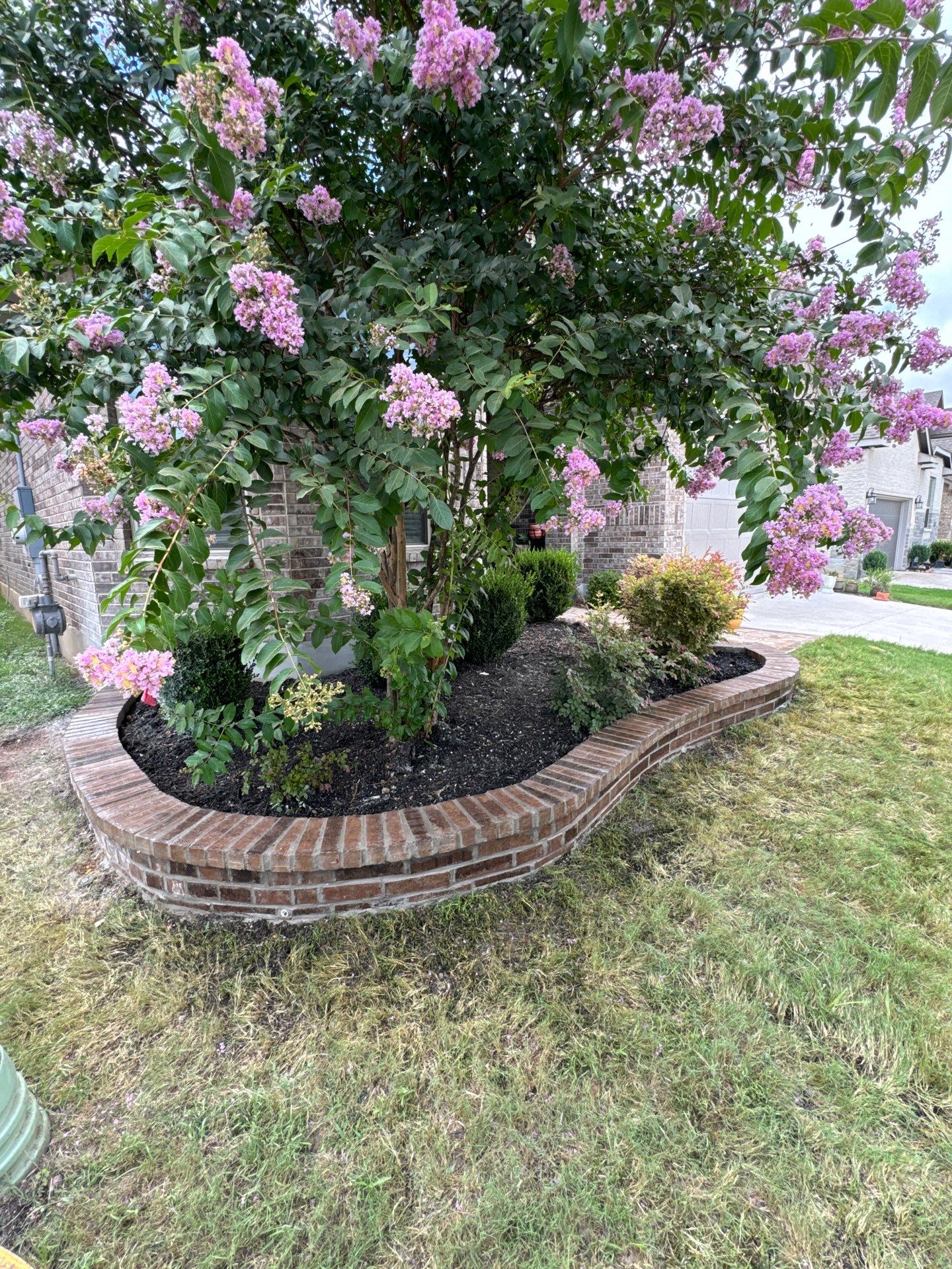 Wortham Oaks - San Antonio, TX by Hole In One Lawns, LLC