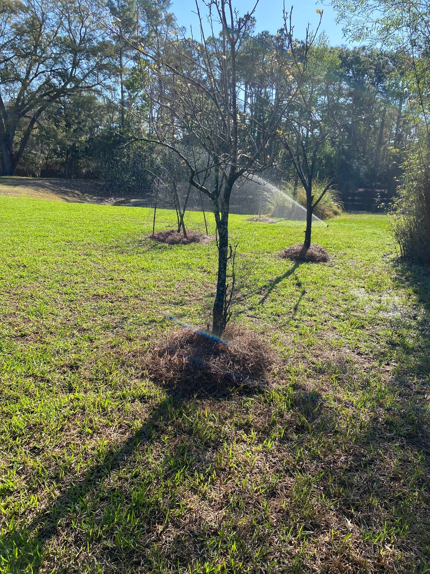 Deerwood Resident | Landscaping by ProGreen Services
